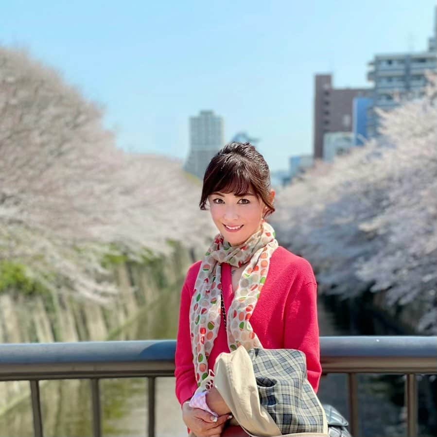のインスタグラム：「桜が見頃〜🌸﻿ ﻿ #きれい﻿ #桜﻿ #街がピンク色﻿ #春﻿ #気持ちいい﻿ #目黒川の桜」