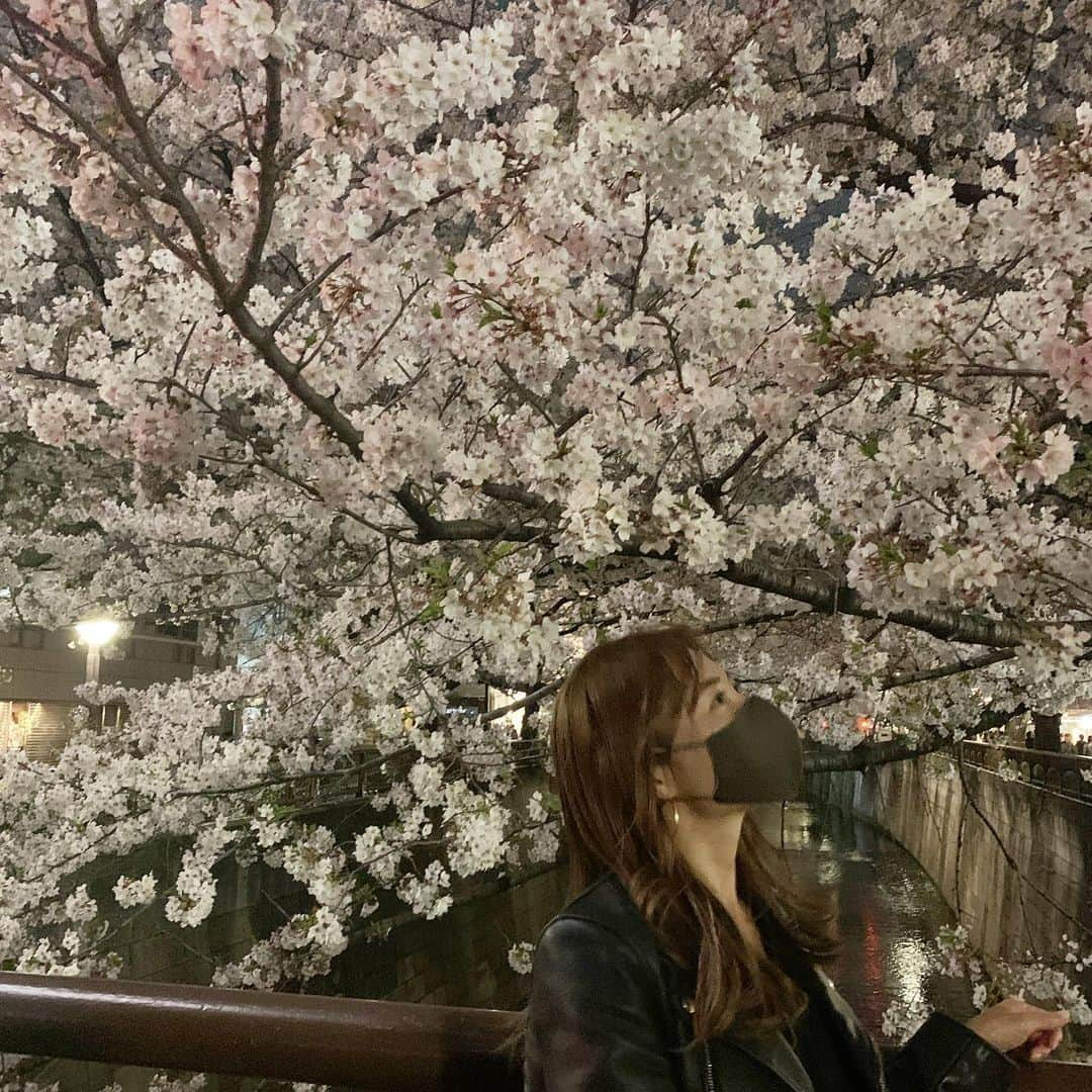 新山千春さんのインスタグラム写真 - (新山千春Instagram)「フラッシュで、一瞬だけ 濃いピンク色の桜🌸が ちらほら。。。  明日も早朝から京都で ドラマの撮影🎬！！  わたしにとって 新しい挑戦の役なので、  ワクワクしてます！！  #桜 #🌸 #Cherryblossom #日本の心　🌸 #pink #新山千春」3月27日 20時37分 - chiharuuu_0114