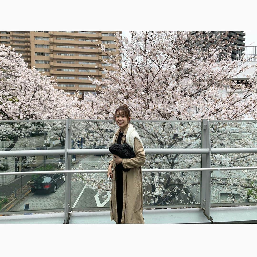 のインスタグラム：「* * わぁ満開だ〜🌸と 写真撮ってみたものの 写真を見て 自分の顔が母親そっくりで驚く👀 * 私は父似なので 母には全く似てないんだけど 歳をとってくると 母親に似てくるとは良く言ったもので…😂 * 年々 似てる…と思う写真が 増えてる気がする…😆 * #桜 #🌸 #アークヒルズ #赤坂スペイン坂」