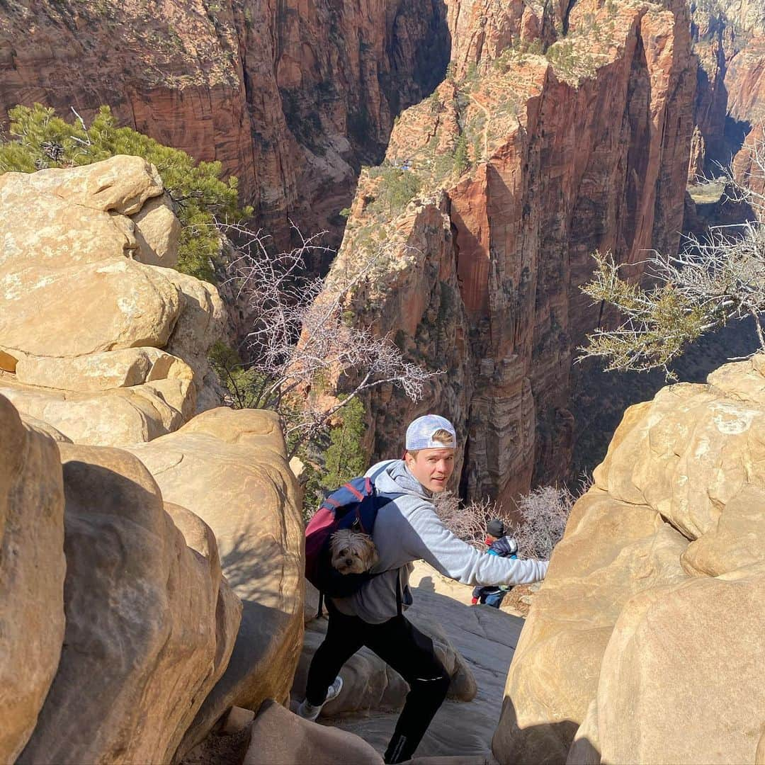 グレアム・ロジャースさんのインスタグラム写真 - (グレアム・ロジャースInstagram)「Zion Zion Zion」3月27日 12時11分 - grahambamthankyoumam