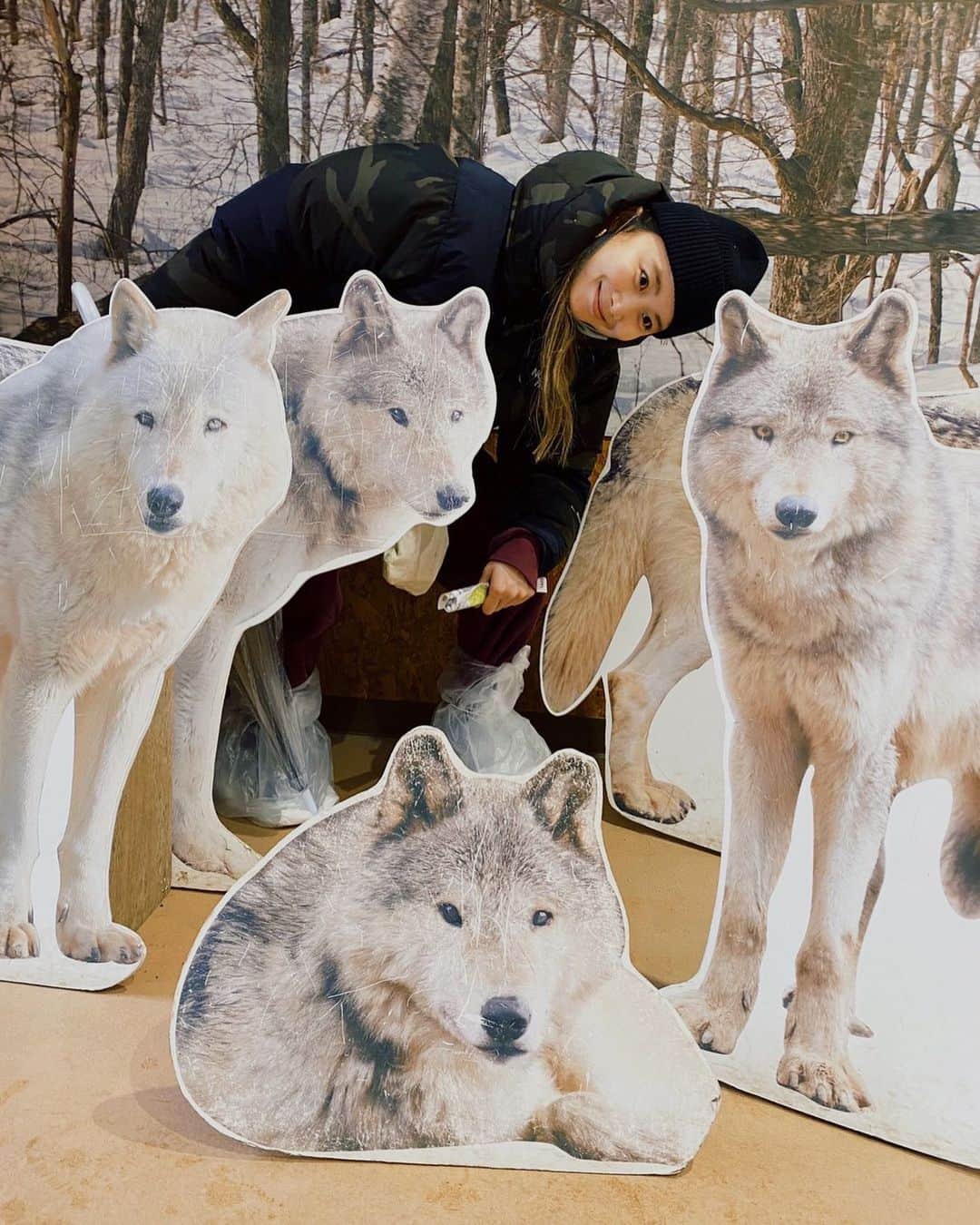 大田明奈さんのインスタグラム写真 - (大田明奈Instagram)「共存 #円山公園  #やっぱり犬可愛い」3月27日 12時21分 - moreakee