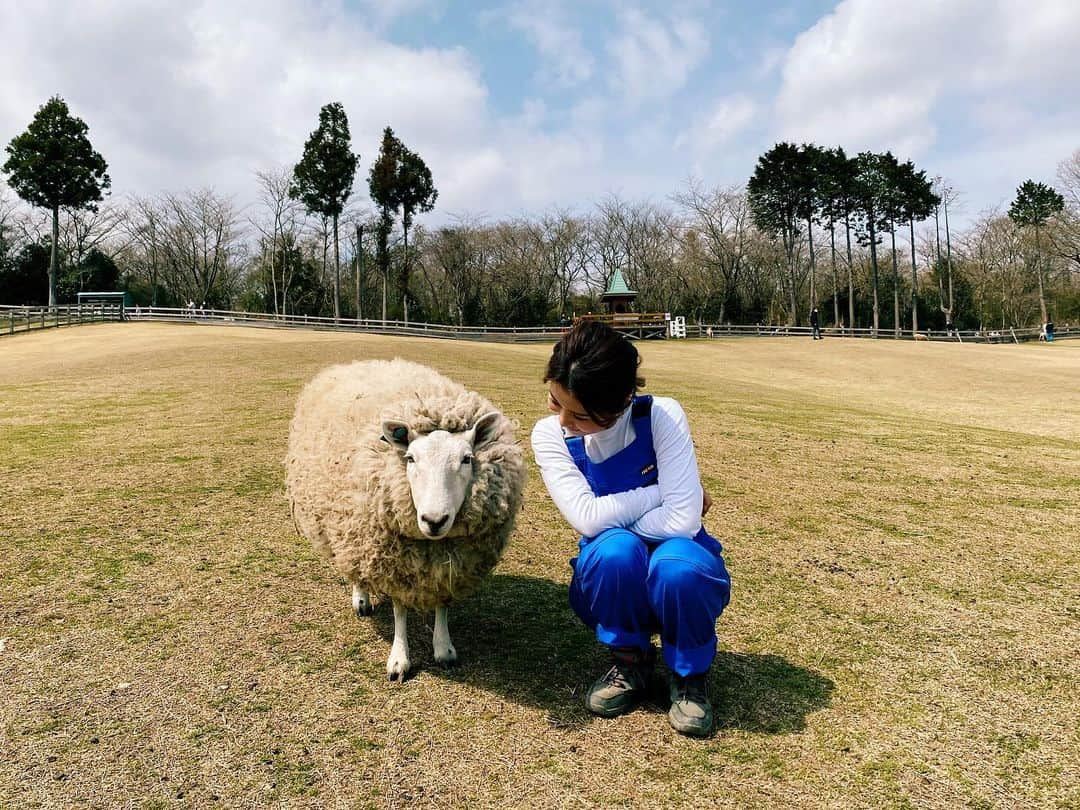 大槻有沙さんのインスタグラム写真 - (大槻有沙Instagram)「羊たちとの距離が近い😳💓  ・ #このあと15時から #公開生放送 #まかいの牧場 #静岡  #SBSテレビ #soleいいね #SBSラジオ #静岡放送 #鉄崎幹人のWASABI #WASABI #アナウンサー #大槻有沙 #follow #followme #instagood #instadiary #instalike #instamood #instalove #instafollow」3月27日 13時30分 - arisa_otsuki