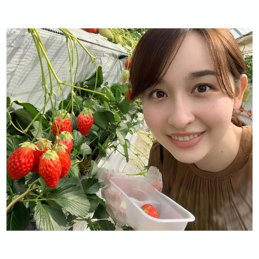 宇賀神メグさんのインスタグラム写真 - (宇賀神メグInstagram)「🍓  . . .  いつかの写真。  苺の美味しい季節ですね。🍓  お肌のためにも、 ビタミンC摂取大事ですよね！ . . .  #苺 #食べたい #よし #スーパーに行こう」3月27日 13時31分 - ugajin_megu