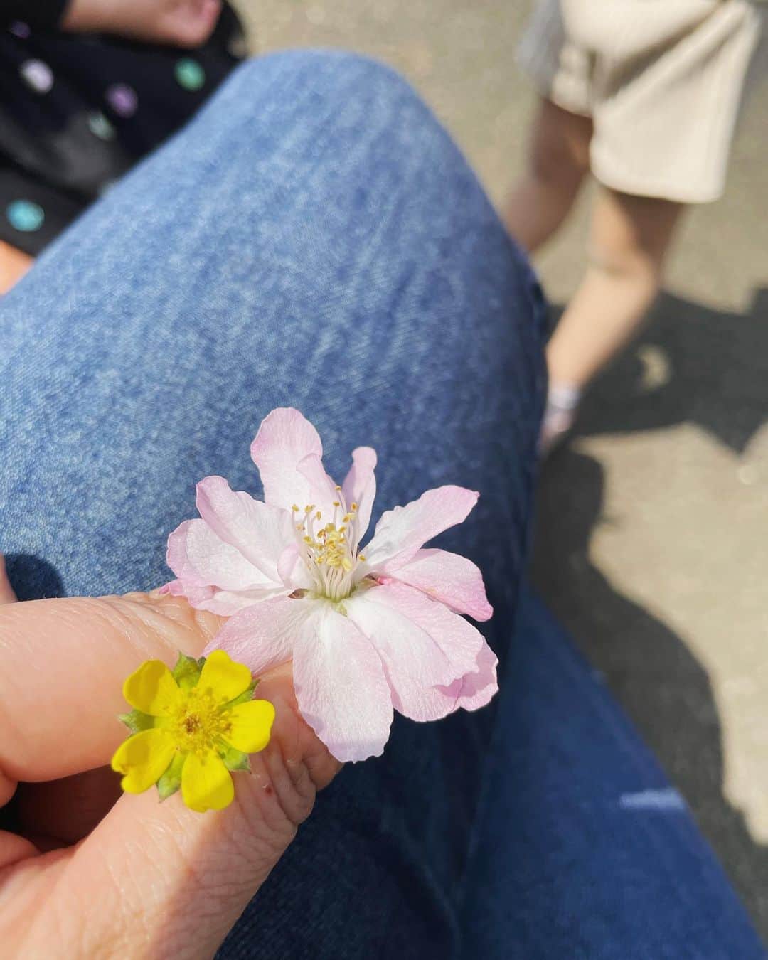 井上和香さんのインスタグラム写真 - (井上和香Instagram)「. 娘のお友達からもらったお花🌸  ありがとう🥰 . #春のお裾分け #花粉が辛すぎる」3月27日 16時15分 - inoue_waka