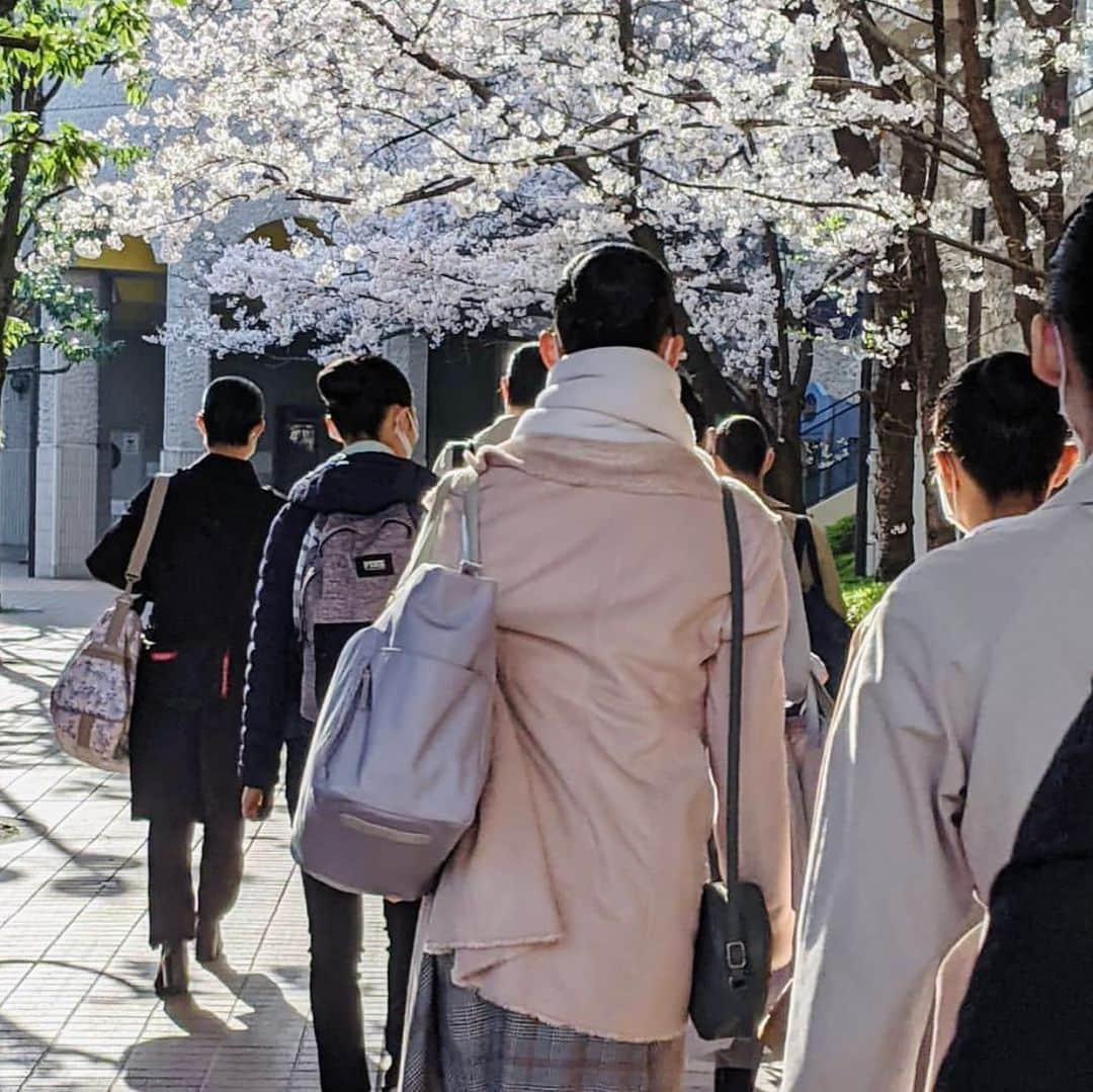 壱城あずささんのインスタグラム写真 - (壱城あずさInstagram)「.﻿ 今日で2次試験も終わり明日2次試験の合格発表。﻿ それを通過した人だけが3次試験に進める狭き門…﻿ ﻿ 満開の桜たちがここまで頑張ってきたことを讃えてくれてるかのように美しく咲いている🌸﻿ いつしかこの道がファンの方と一緒に歩く楽屋に向かう道に変わりますように…﻿ ﻿ #クラレス﻿ #宝塚音楽学校﻿ #受験﻿ #神戸里奈 さん﻿ #最終チェック﻿ #エールを送る﻿ #壱城あずさ﻿ #しーらん」3月27日 17時01分 - shiiran1012