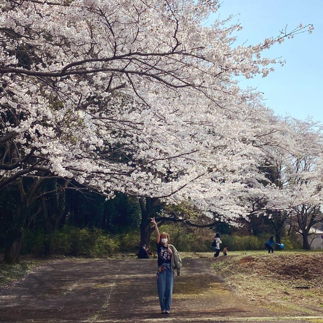西山茉希さんのインスタグラム写真 - (西山茉希Instagram)「#春の真ん中 #🌸☀️🌸  水色とピンクが、 淡くて優しい日。  桜みーっけ。  #cherryblossom  #spring」3月27日 18時24分 - maki.nshiyama50