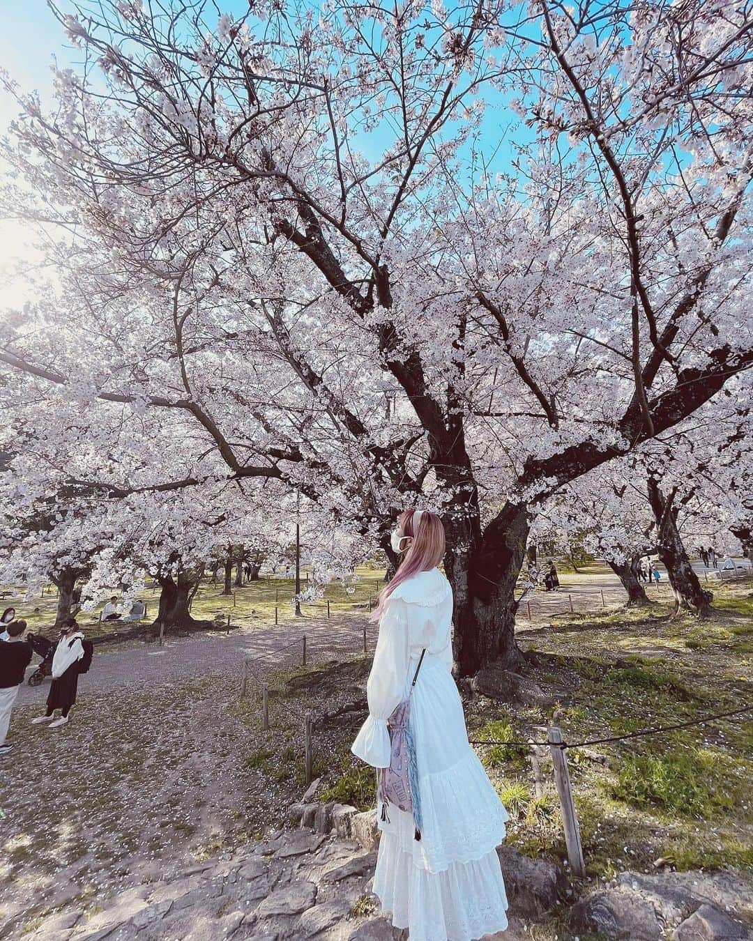 上野遥さんのインスタグラム写真 - (上野遥Instagram)「❀︎.(*´▽︎`*)❀︎. ・ #🌸 #桜 #sakura」3月27日 19時15分 - harutan.pink