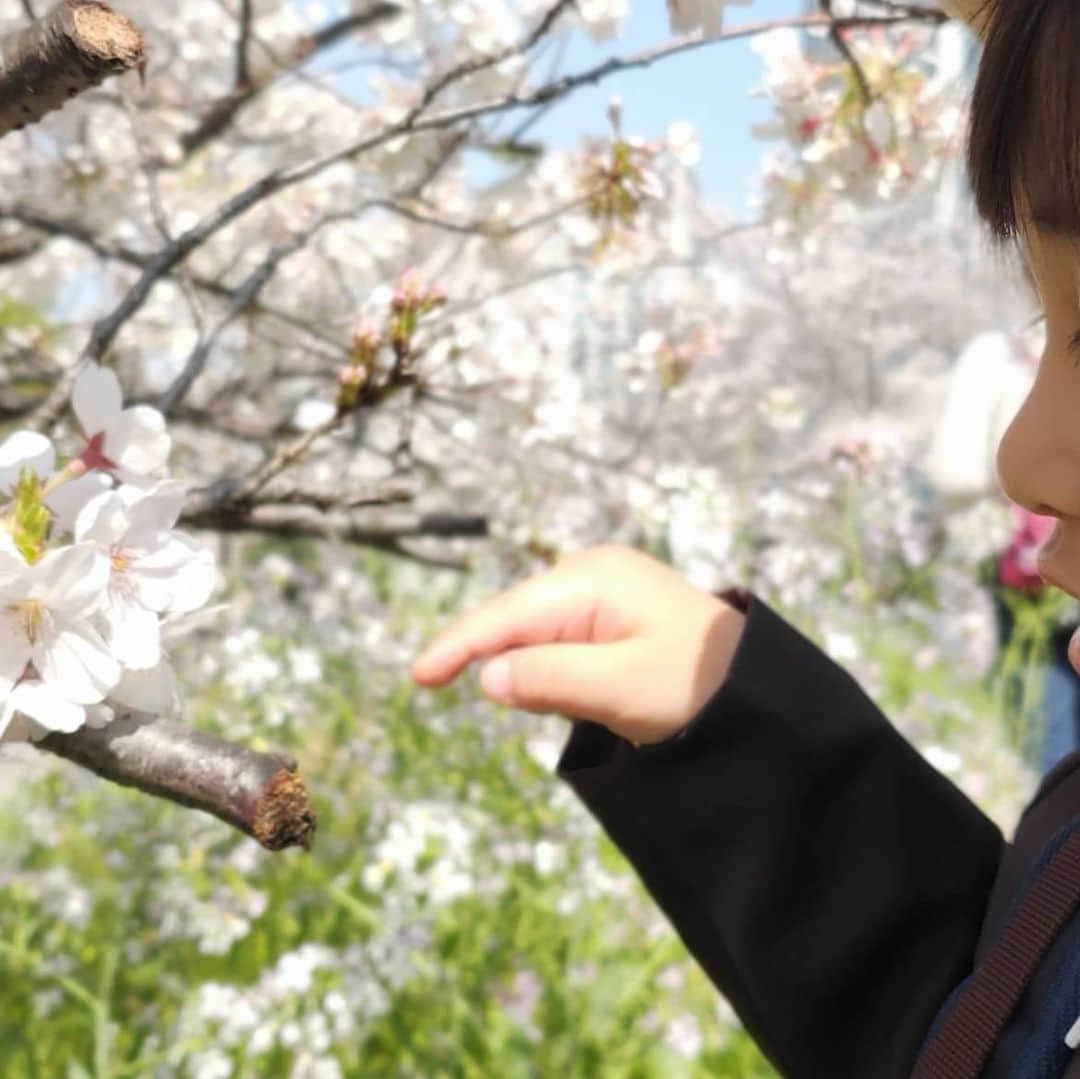 宮下ともみのインスタグラム：「あと2週間で幼稚園🌸 制服を着て近所の桜と撮影したよ❤  #3歳1ヶ月男の子 #長男 #幼稚園入園  #初めての制服  #桜と僕  #めちゃくちゃ可愛くて  #メロメロ」