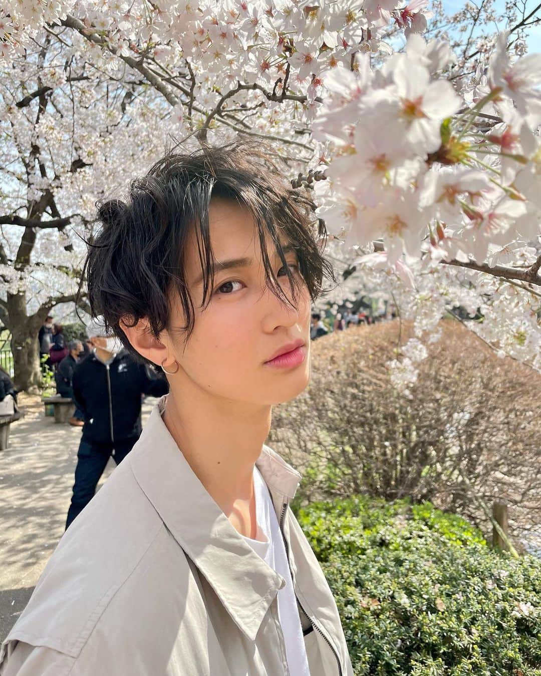 佐久間美波さんのインスタグラム写真 - (佐久間美波Instagram)「桜が満開でした🌸🌸🌸」3月27日 21時28分 - mi_na_mi_628