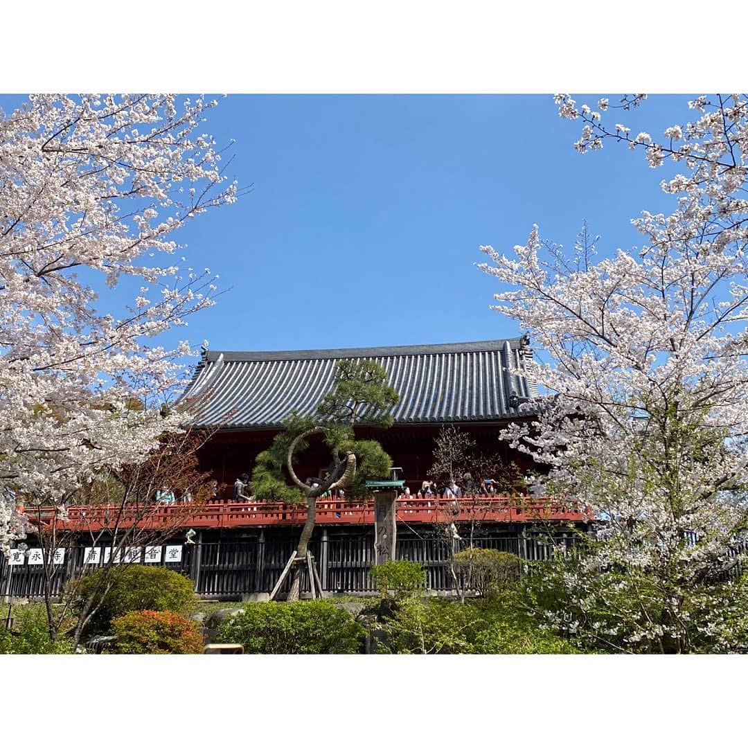 村上りいなさんのインスタグラム写真 - (村上りいなInstagram)「上野公園の桜並木に見てきました🌸🌸  桜のトンネルは満開で絶景でございました‼︎🥰  #sakura #上野公園　#桜 #uenopark #ueno #spring #上野 #春」3月27日 22時23分 - riina_murakami