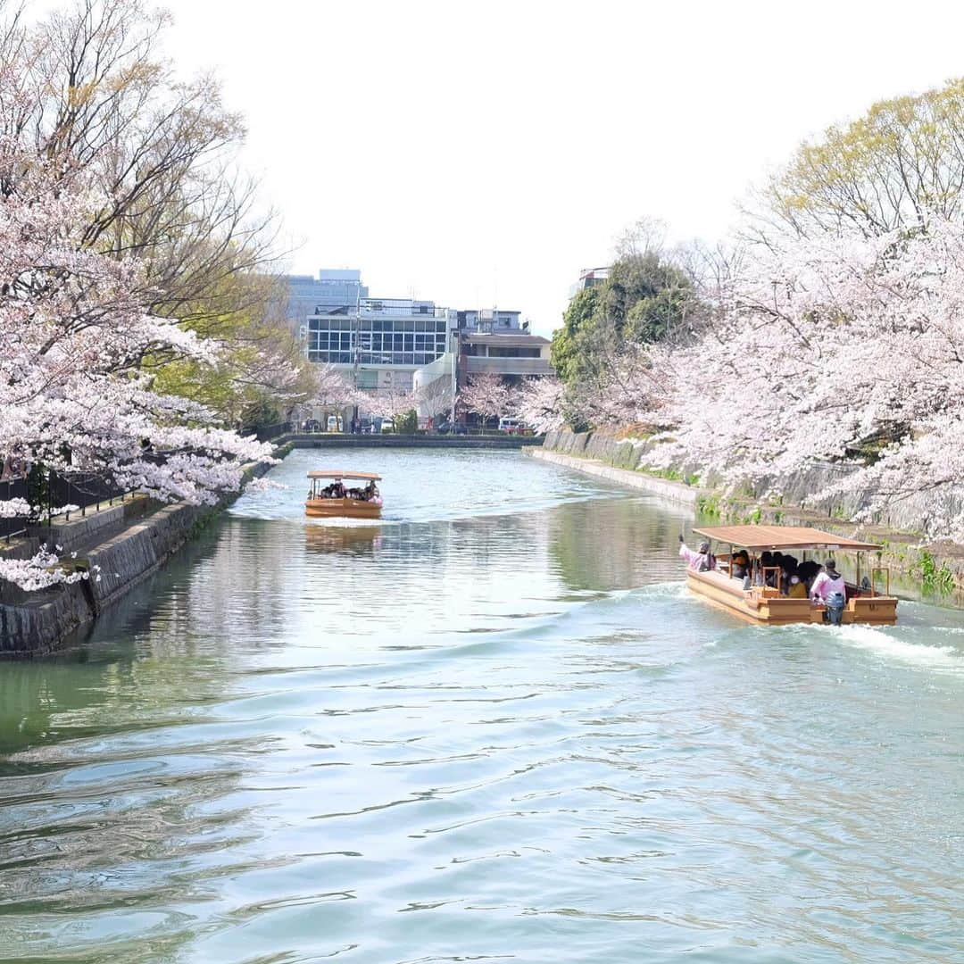 Atsukoのインスタグラム：「＊ 京都ロームシアター横の蔦屋書店をさらっと流し見にし、隣で開催されていた蚤の市の賑わいについつい誘われた春の午後  次は美術館と蔦屋書店でゆっくりしたい…  ドイツパン・ベルキオさんの「プレッツェル」をおやつのようなお昼ごはんにし、雨林舎さんの「ホットアップルジンジャー」でひと息ついて、蚤の市で買った楽しみを持ち帰る夕方 ・ ・ ＊ #kyoto #蚤の市」