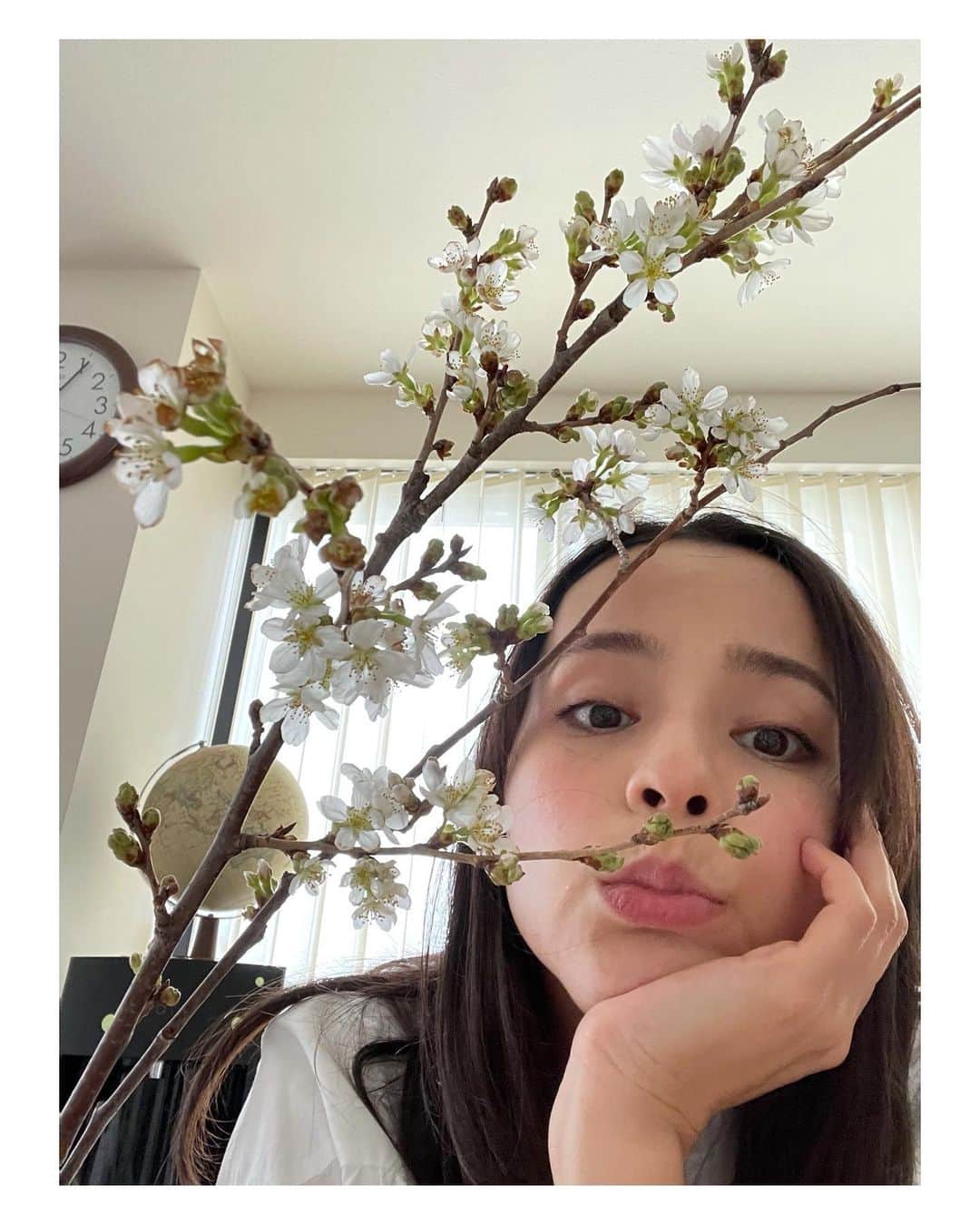 加藤ローサさんのインスタグラム写真 - (加藤ローサInstagram)「明日は雨の予報です。桜散っちゃうかなぁ。東京は満開で綺麗ですよ〜  今年は家に飾って🌸たっぷり楽しみます！の、前に桜がかわいそうなくらい部屋が散らかっているので、明日は掃除します‼︎  #片付けど片付けど #片付かない #春休み」3月27日 22時38分 - kato_rosa_