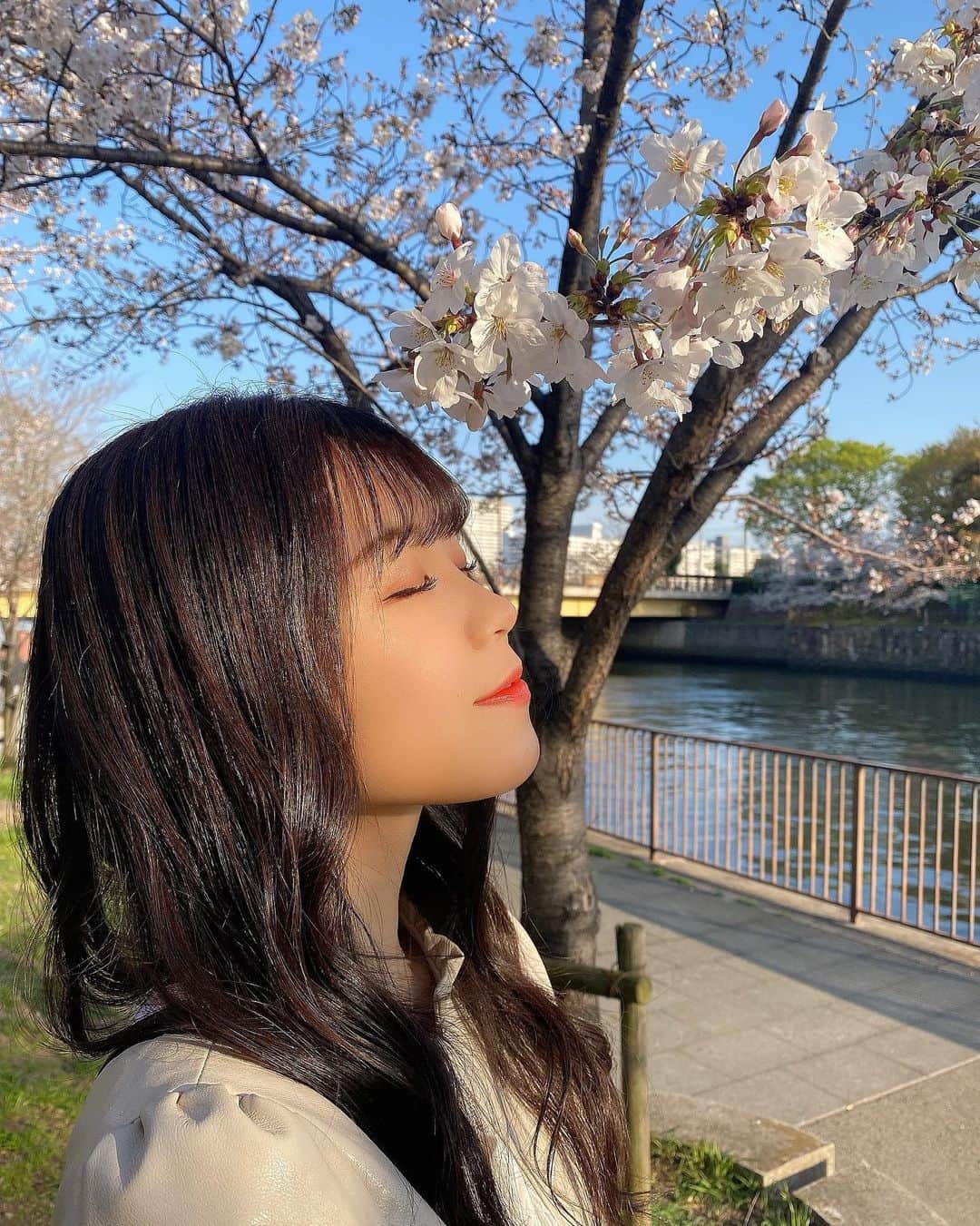 貞野遥香さんのインスタグラム写真 - (貞野遥香Instagram)「☆﻿ 3月27日「「さくらの日」」🌸﻿ ﻿ ﻿ 桜の花と触れ合ってみました☺️💕(笑)﻿ ﻿ 動画もあります♪﻿ ﻿ ﻿ ﻿ ﻿ ﻿ ﻿ (コメント返しはおやすみです、、😖💦)」3月27日 22時45分 - _haruka_sadano06