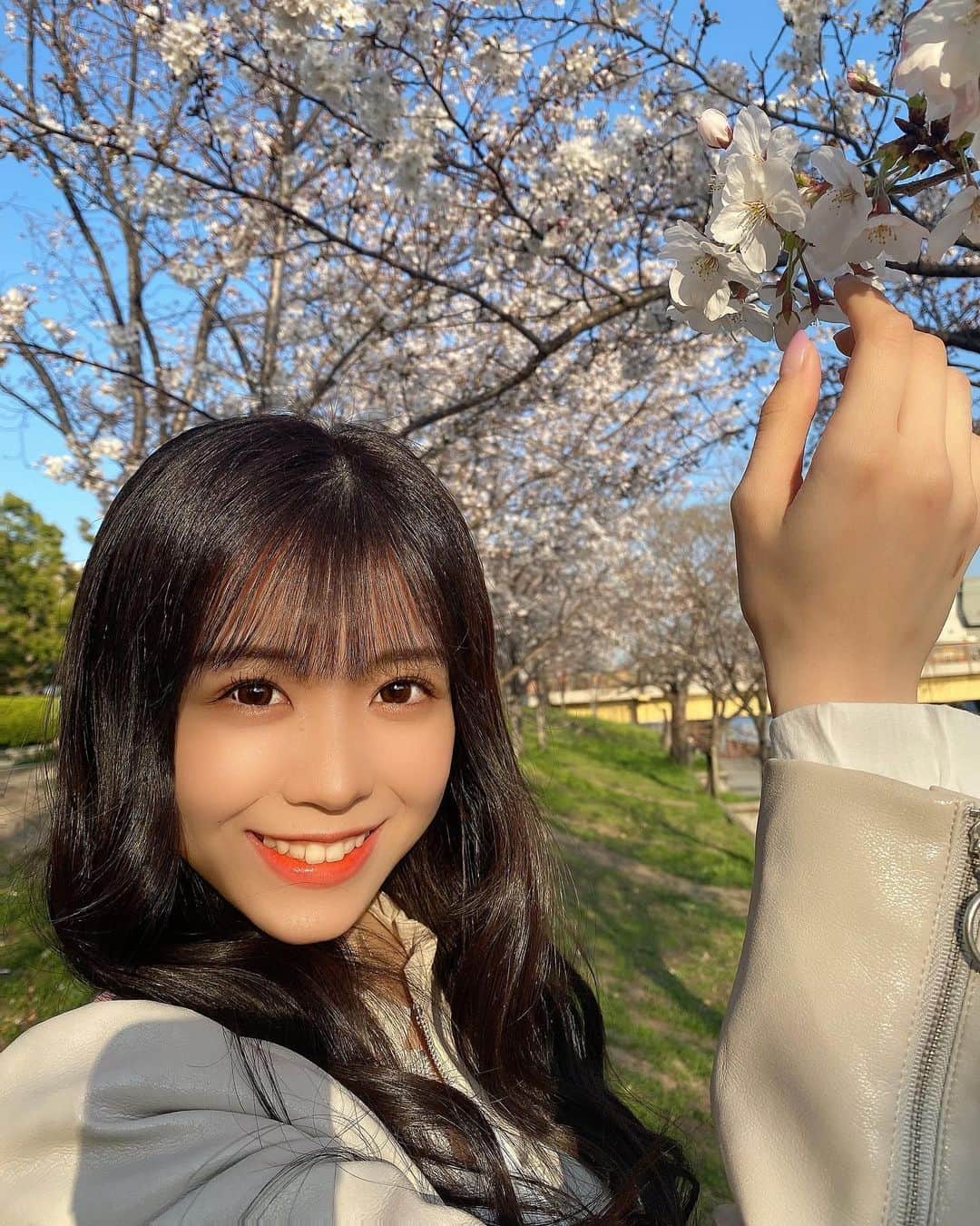 貞野遥香さんのインスタグラム写真 - (貞野遥香Instagram)「☆﻿ 3月27日「「さくらの日」」🌸﻿ ﻿ ﻿ 桜の花と触れ合ってみました☺️💕(笑)﻿ ﻿ 動画もあります♪﻿ ﻿ ﻿ ﻿ ﻿ ﻿ ﻿ (コメント返しはおやすみです、、😖💦)」3月27日 22時45分 - _haruka_sadano06