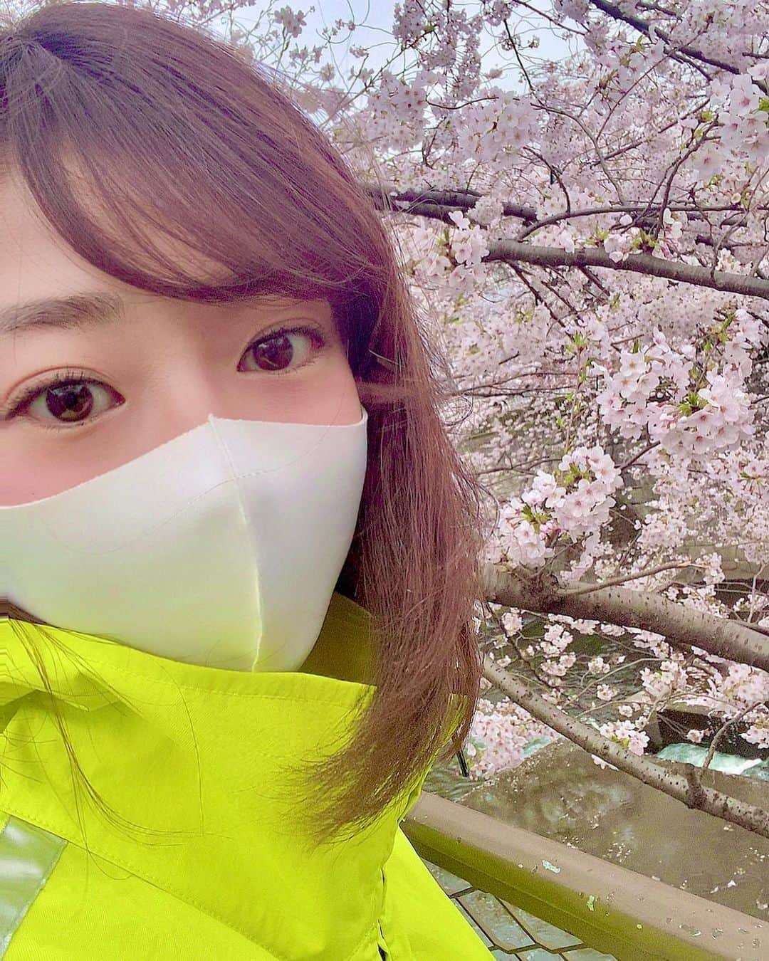 大貫彩香さんのインスタグラム写真 - (大貫彩香Instagram)「🌸🌸🌸  息抜き散歩👟  ※ここは神奈川県です」3月27日 23時19分 - sayaka_oonuki