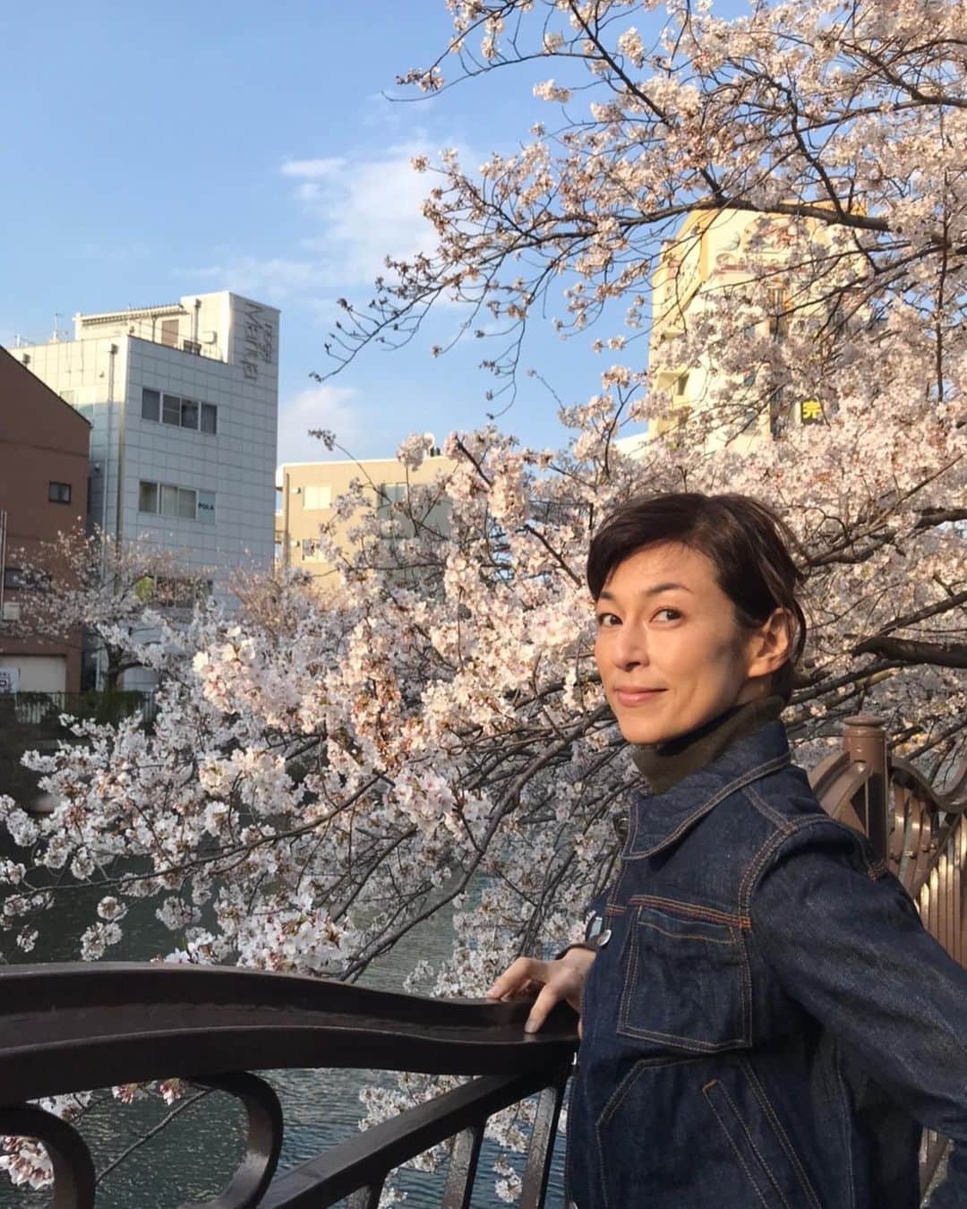 鈴木保奈美さんのインスタグラム写真 - (鈴木保奈美Instagram)「ロケ現場の近くの桜が見事だった。いつも通りに咲いてくれてありがとう。」3月27日 23時30分 - honamisuzukiofficial
