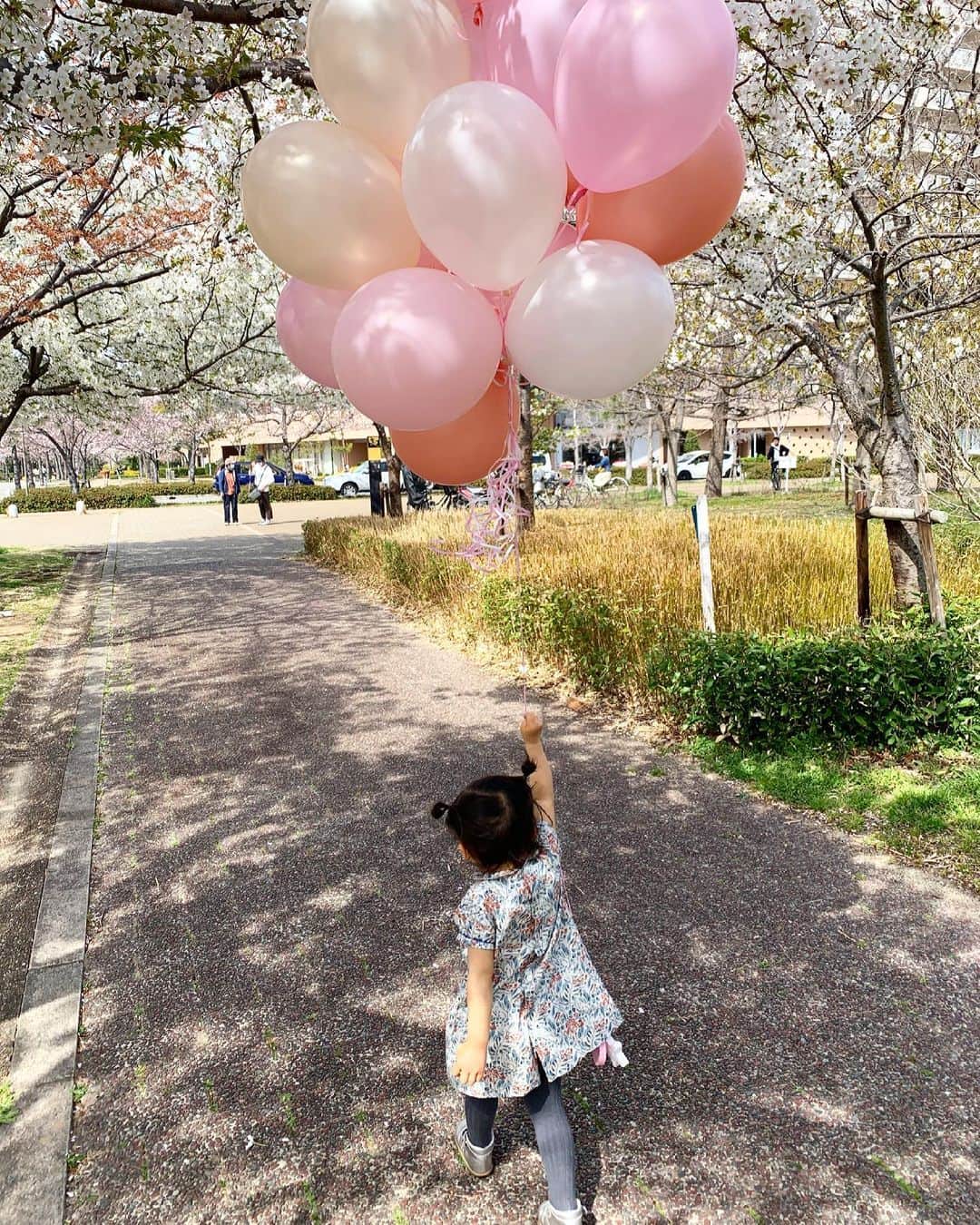 ayu kagawaさんのインスタグラム写真 - (ayu kagawaInstagram)「2しゃい🧸🎈🌸🧸🎈🌸🧸🎈🌸 #birthdaygirl」3月27日 23時54分 - ayuyunyun
