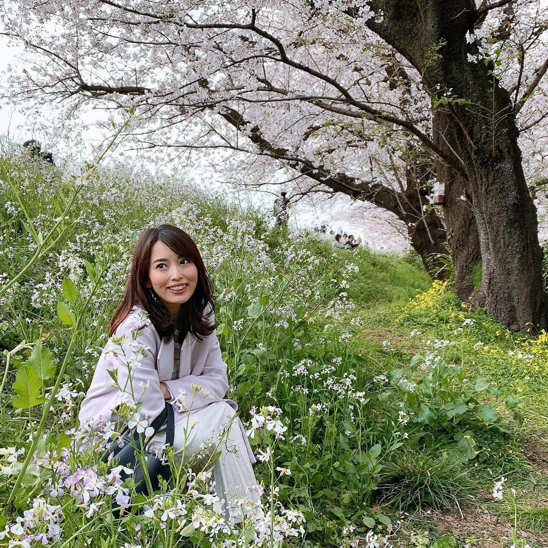 早川茉希さんのインスタグラム写真 - (早川茉希Instagram)「Spring vibes🌸🌸🌸  インスタが桜写真で溢れている😍 やっぱり日本の春は桜だ☺️ この時期のお散歩は最高🌸 かなりリフレッシュできました✨  来年は、シート広げて お花見ピクニックできるといいな🙏🏻🍙  #cherryblossoms #fullbloom #springhascome #spring #japan_of_insta #桜 #満開 #桜並木 #春だね #春コート #おろしました #🌸」3月28日 0時23分 - maki_hayakawa