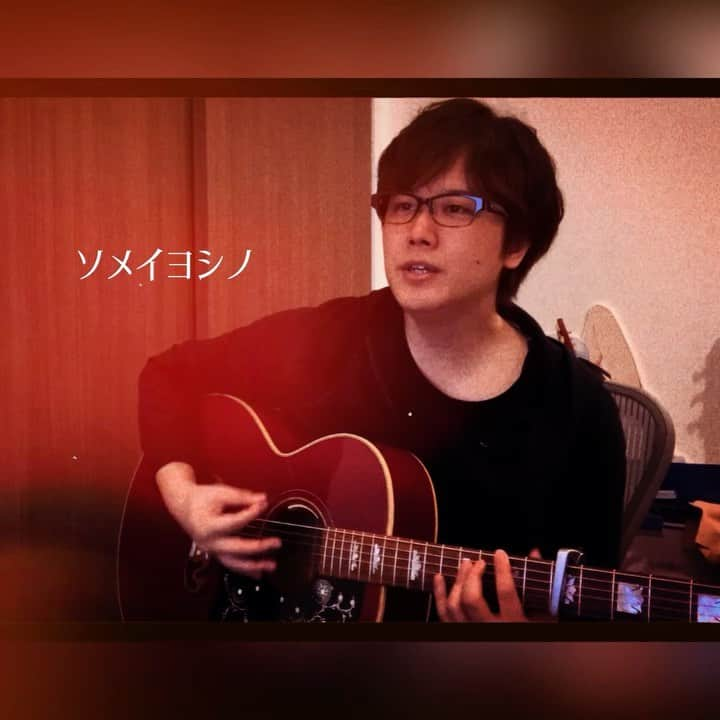 三浦祐太朗のインスタグラム：「毎年桜の季節になるとこの曲が聴きたくなります。  . . . . #cover #sing #singer #singers #vocalist #vocals #thevoice #voice #talentedmusicians #musiclife #musician #instacover #instamusic #弾き語り #アコギ #アコースティックギター #ソメイヨシノ #ENDRECHERI #🌸 #真夜中の徒然歌」