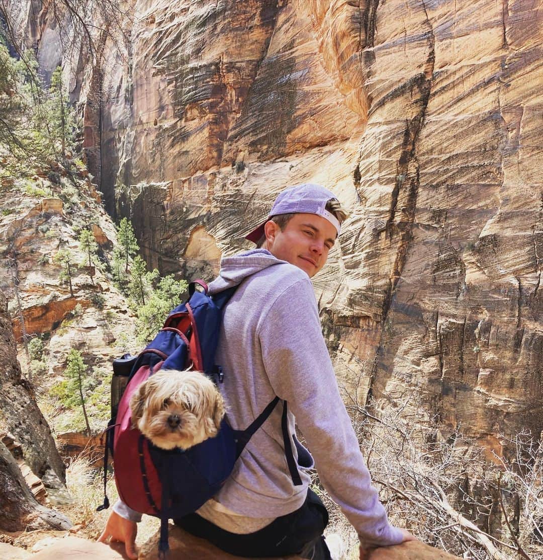 グレアム・ロジャースのインスタグラム：「Dog pack」