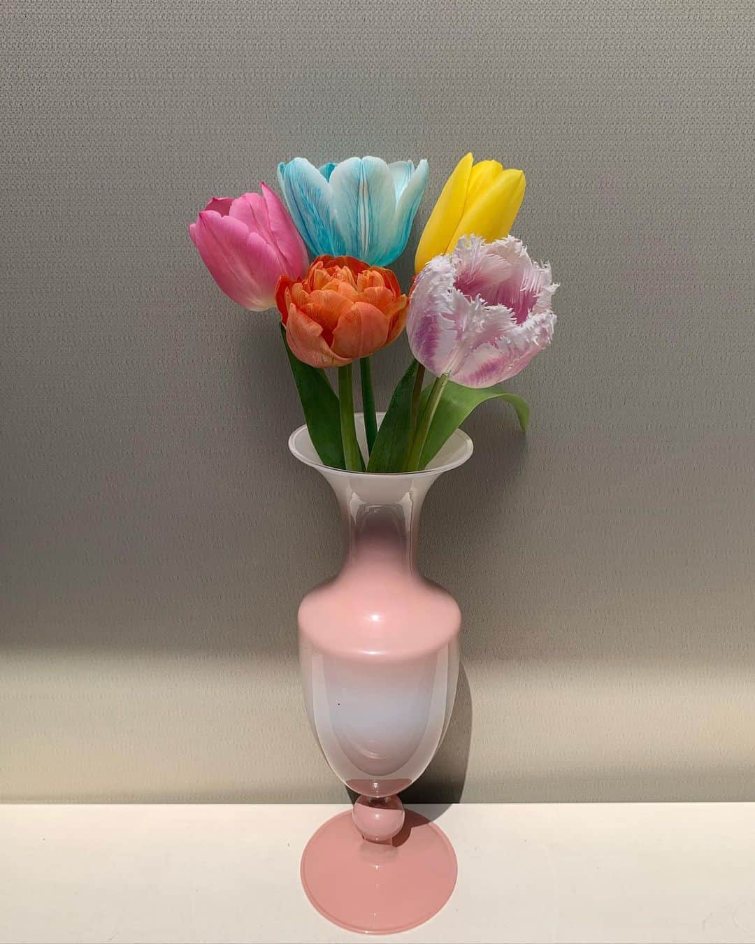 青谷優衣のインスタグラム：「🤍🎨  雨でも気分が上がる色🌈 #花のある暮らし #チューリップ」