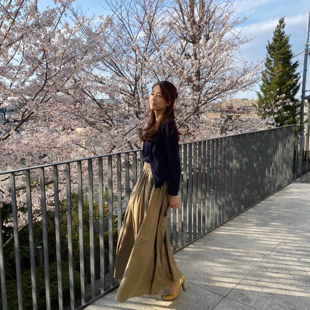 小沢真珠さんのインスタグラム写真 - (小沢真珠Instagram)「昨日は「さくらの日」だったそうです。「咲く（3×9）＝27」の語呂合わせ。なるほど！写真は最近行った赤城神社の桜です♪  #3月27日 #さくらの日 #桜 #サクラ #満開 #赤城神社」3月28日 7時36分 - maju_ozawa