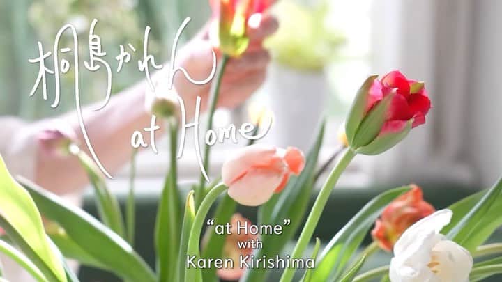 のインスタグラム：「“at Home”をテーマにお届けするYouTubeチャンネル、新作をアップしました！  チューリップは待ちに待った春の訪れを教えてくれる花。 単色のシンプルな生け方と色とりどりのチューリップを使ったカラフルなアレンジメントをお見せします。  皆様、沢山のご視聴ありがとうございます。 チャンネル登録も、どうぞよろしくおねがいします。 https://www.youtube.com/channel/UCEpgYCpQE5mbu53H0emjKfQ  #桐島かれん #桐島かれんathome #チューリップ #tulip #athomewithkarenkirishima」