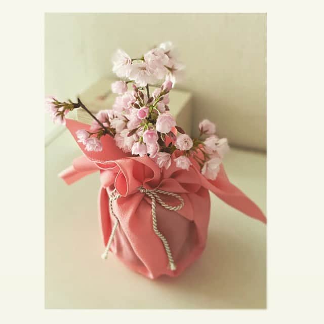 前田ゆかさんのインスタグラム写真 - (前田ゆかInstagram)「SAKURA🌸  いただいた桜盆栽が満開を迎えました♪ 毎日霧吹きをかけて蕾から開花まで二週間、自分で育み愛でる喜びを満喫させてもらいました🌸  #桜 #sakura  #🌸 #ミニ盆栽  #うち花見 #ありがとうございました #日比谷花壇 #毎年咲いてくれるかな」3月28日 10時02分 - maeyuka