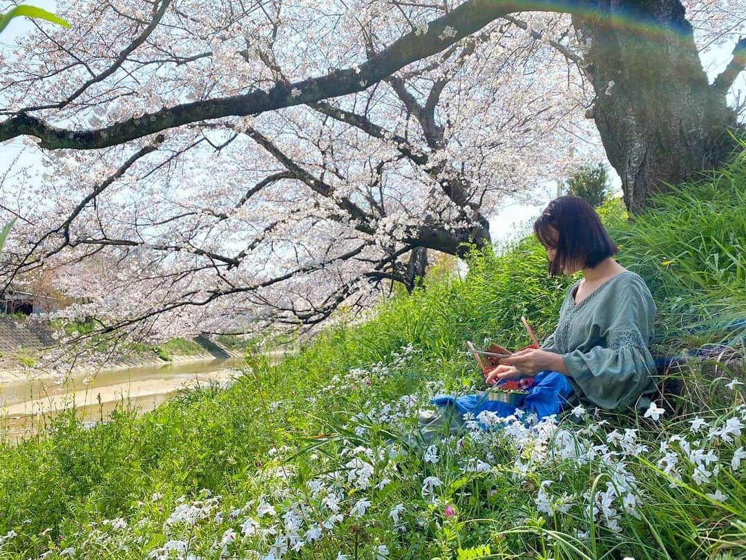 青山有紀さんのインスタグラム写真 - (青山有紀Instagram)「桜の木の下でお弁当🌸 家にあった野菜とごはんをチャーハンにして詰めただけだけど外で食べるとほんと気持ちいい🌸🌸🌸 #空気もご馳走🌸💗」3月28日 15時54分 - yukiaoya