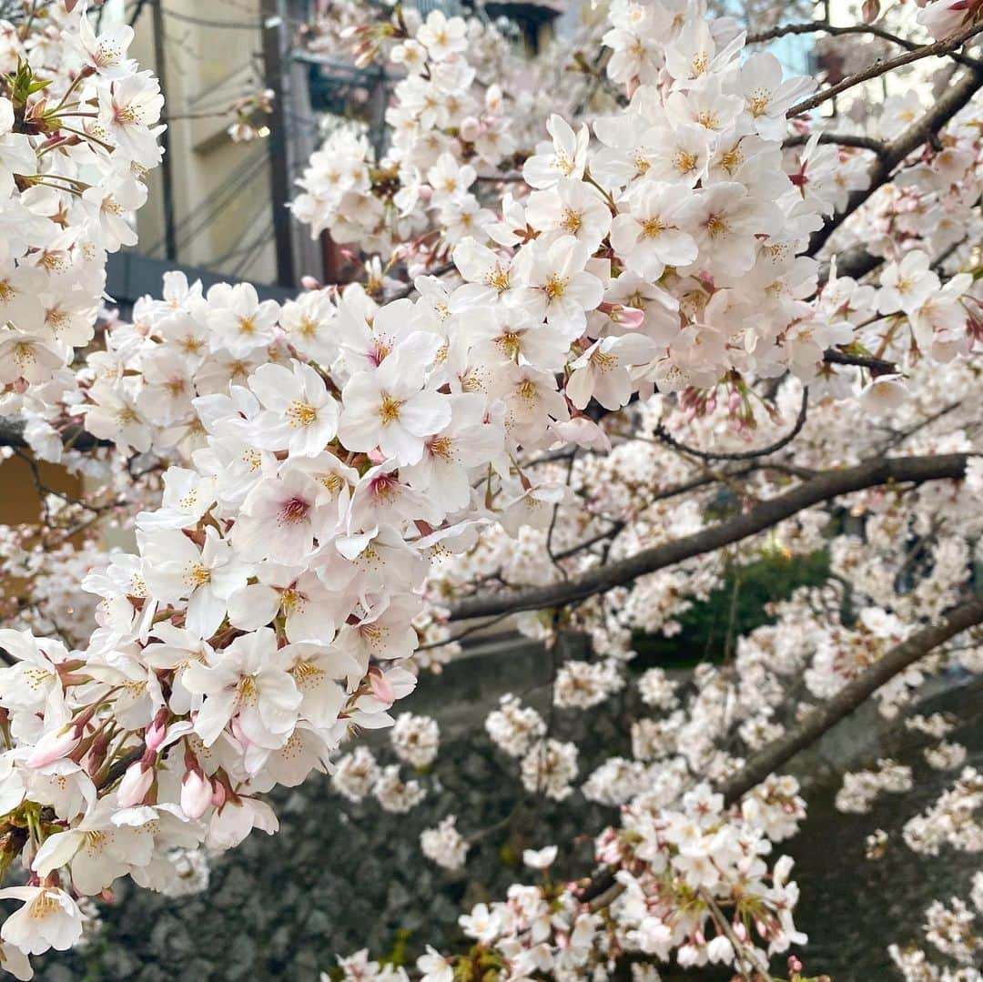 八千恵(やっちん)のインスタグラム