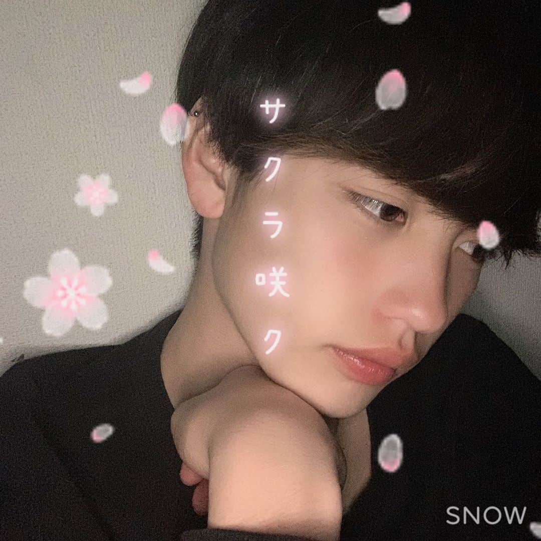 古野瑛のインスタグラム：「横顔📷 SNOWのこのスタンプ、暗いところで撮るといい感じ！🌸夜桜と撮ったらいいかも！ #snowcam #snowエフェクト #写真加工 #サクラ咲く」