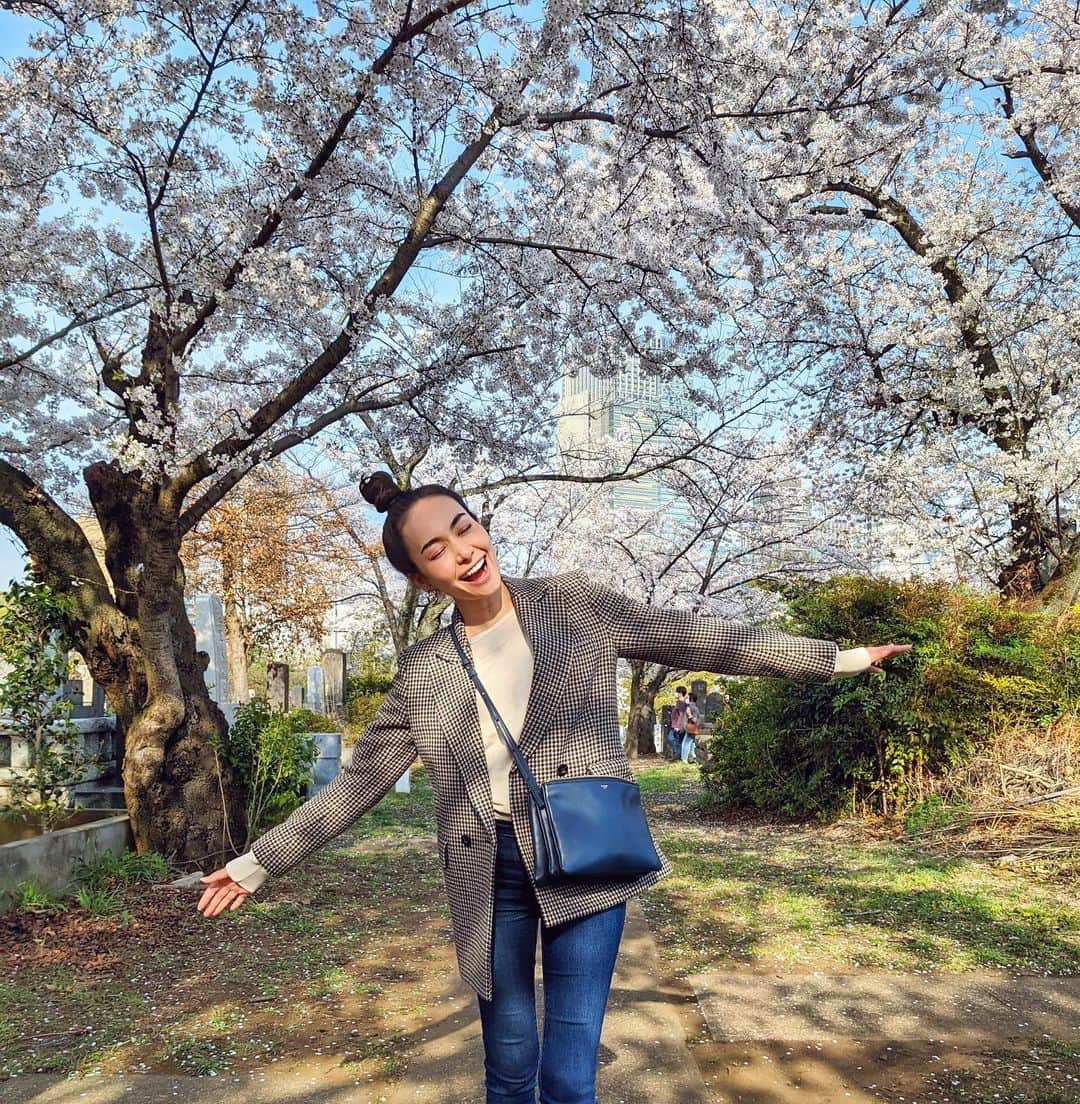 シャウラのインスタグラム：「春ですね〜 Feeling spring #sakura #spring #桜」