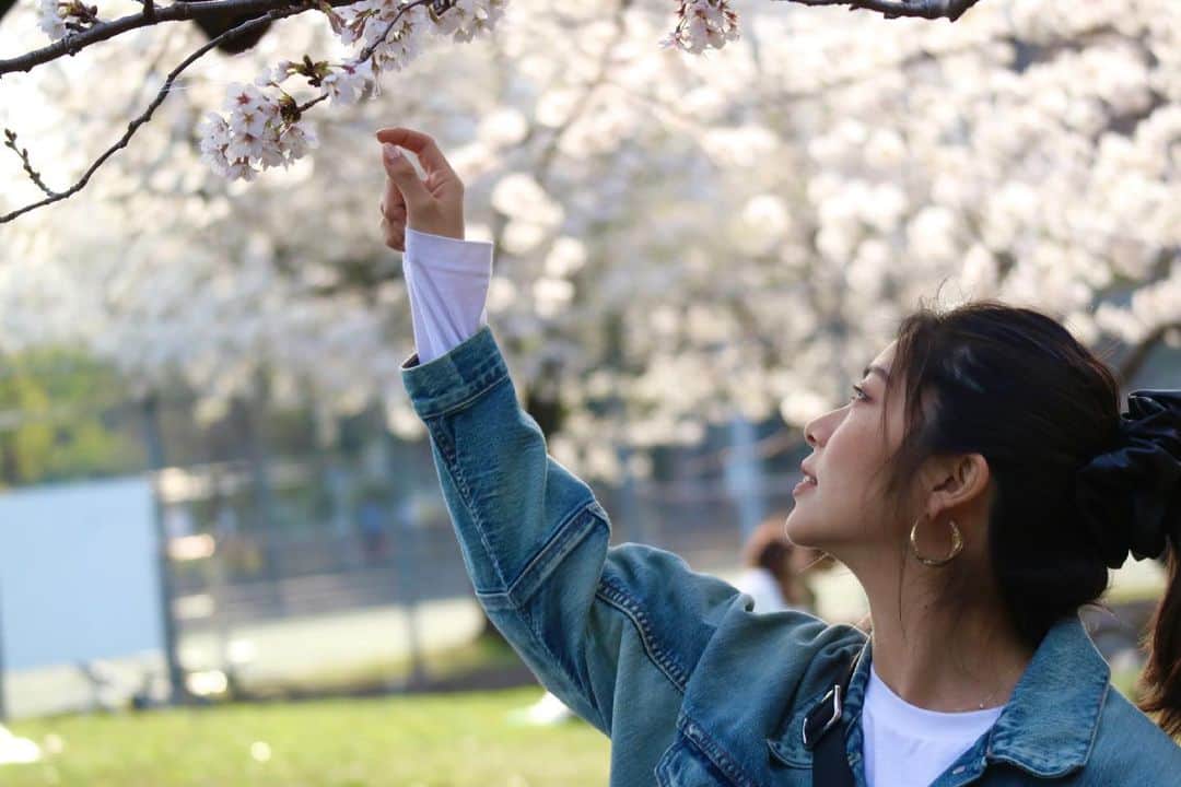 ゆりあさんのインスタグラム写真 - (ゆりあInstagram)「桜がきれいですね🌸 今日はあいにくの雨だけど><  だんだん春になってきて嬉しい☺️  明後日の白女応援団コンペは晴れますように🙏☀️  . #白金台女子ゴルフ部 #白女応援団 #ゴルフ #ゴルフ女子 #golf #instagolf #instagolfer #Shirojo #白女 #shirokanedailadiesgolfclub #ゴルフ好きと繋がりたい #女子ゴルフ #ゴルフ好き #かわいい #⛳️ #🏌️‍♀️ #youtube #チャンネル登録お願いします」3月28日 13時03分 - yuria.golf