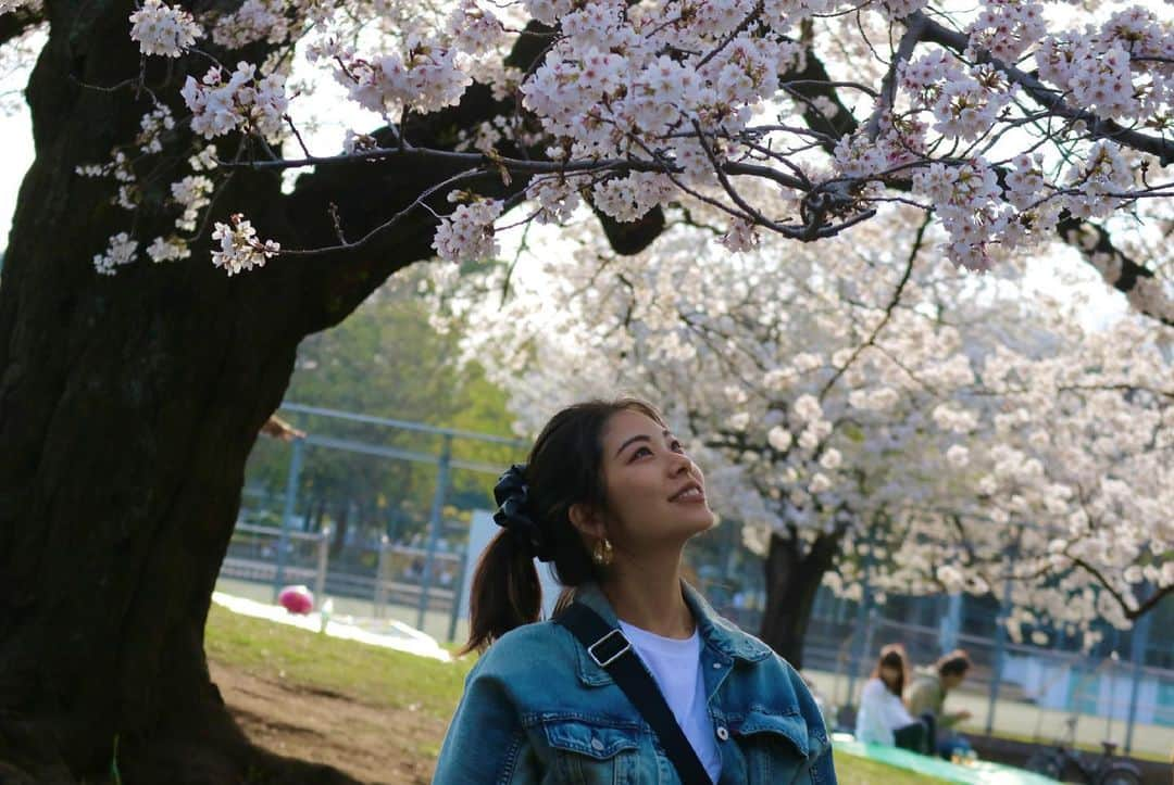 ゆりあのインスタグラム：「桜がきれいですね🌸 今日はあいにくの雨だけど><  だんだん春になってきて嬉しい☺️  明後日の白女応援団コンペは晴れますように🙏☀️  . #白金台女子ゴルフ部 #白女応援団 #ゴルフ #ゴルフ女子 #golf #instagolf #instagolfer #Shirojo #白女 #shirokanedailadiesgolfclub #ゴルフ好きと繋がりたい #女子ゴルフ #ゴルフ好き #かわいい #⛳️ #🏌️‍♀️ #youtube #チャンネル登録お願いします」