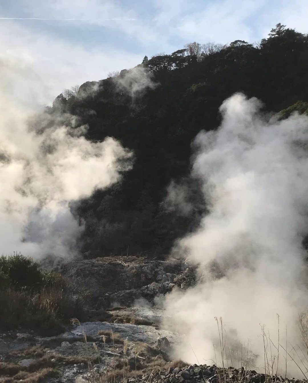 半田悠人さんのインスタグラム写真 - (半田悠人Instagram)「九州へ3泊4日の出張でした。 鹿児島→宮崎→熊本→長崎→熊本と、沢山移動しました。自然豊かで、九州好きだなあーー  質問沢山きたのですが、 一枚目は宮崎県の陣の池という場所です。後ろ側には桜満開で、とっても綺麗でした。  宮崎か鹿児島、霧島あたりに行かれる機会がありましたら是非行ってみてください！小魚たくさん泳いでました。 #陣の池#九州」3月28日 17時04分 - yutohanda