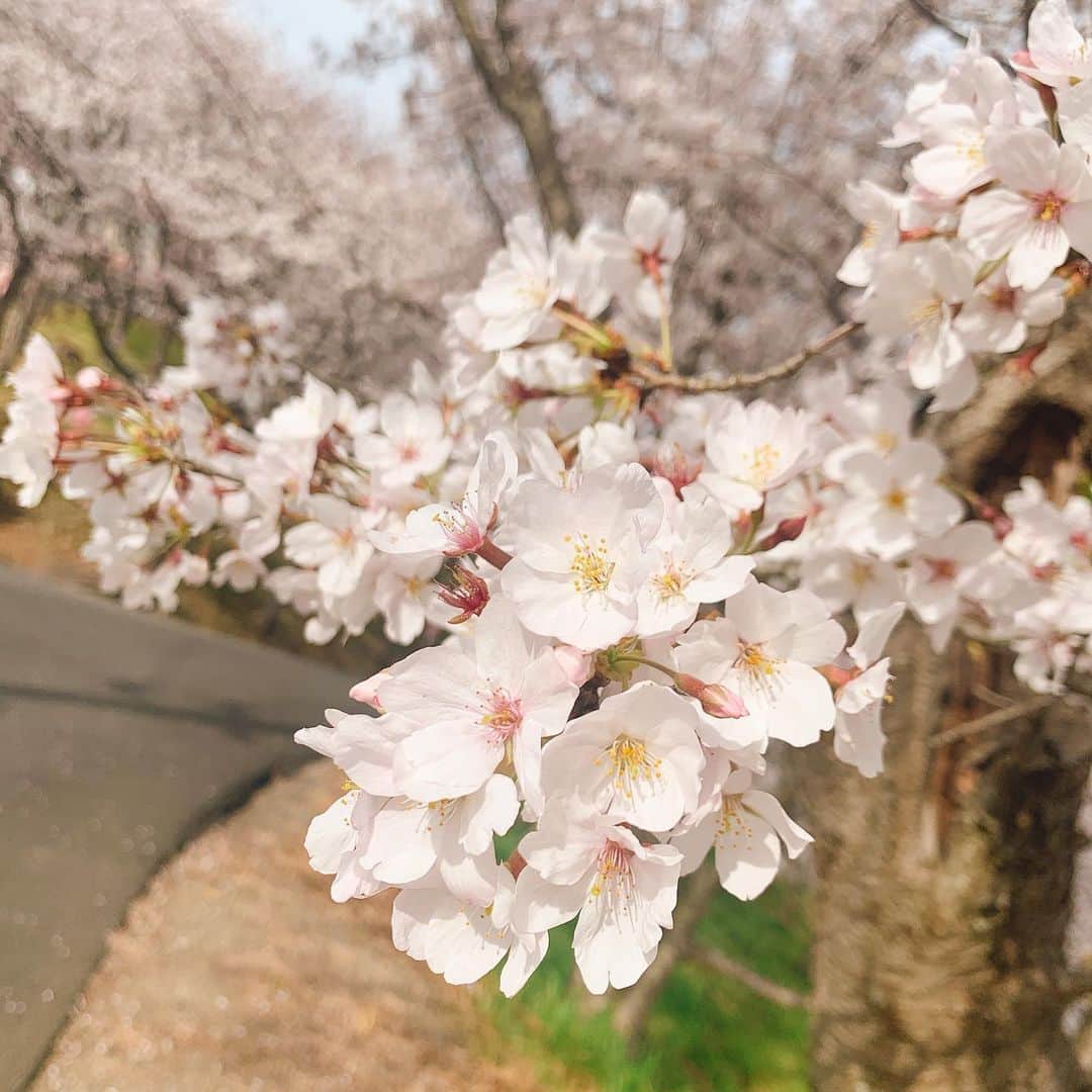 小原春香のインスタグラム