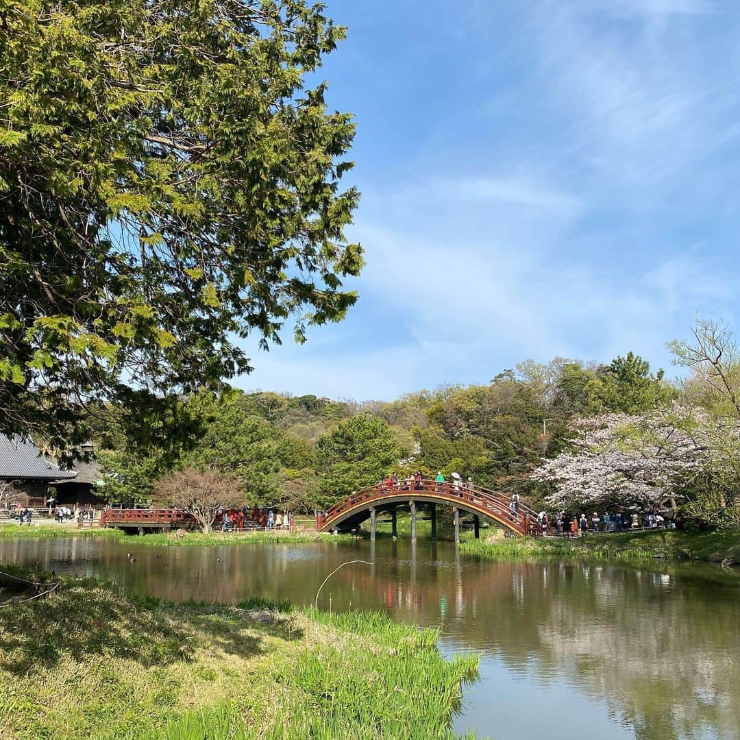 小泉里子さんのインスタグラム写真 - (小泉里子Instagram)「春のお散歩は、綺麗で気持ちがいいね。」3月28日 17時46分 - satokokoizum1