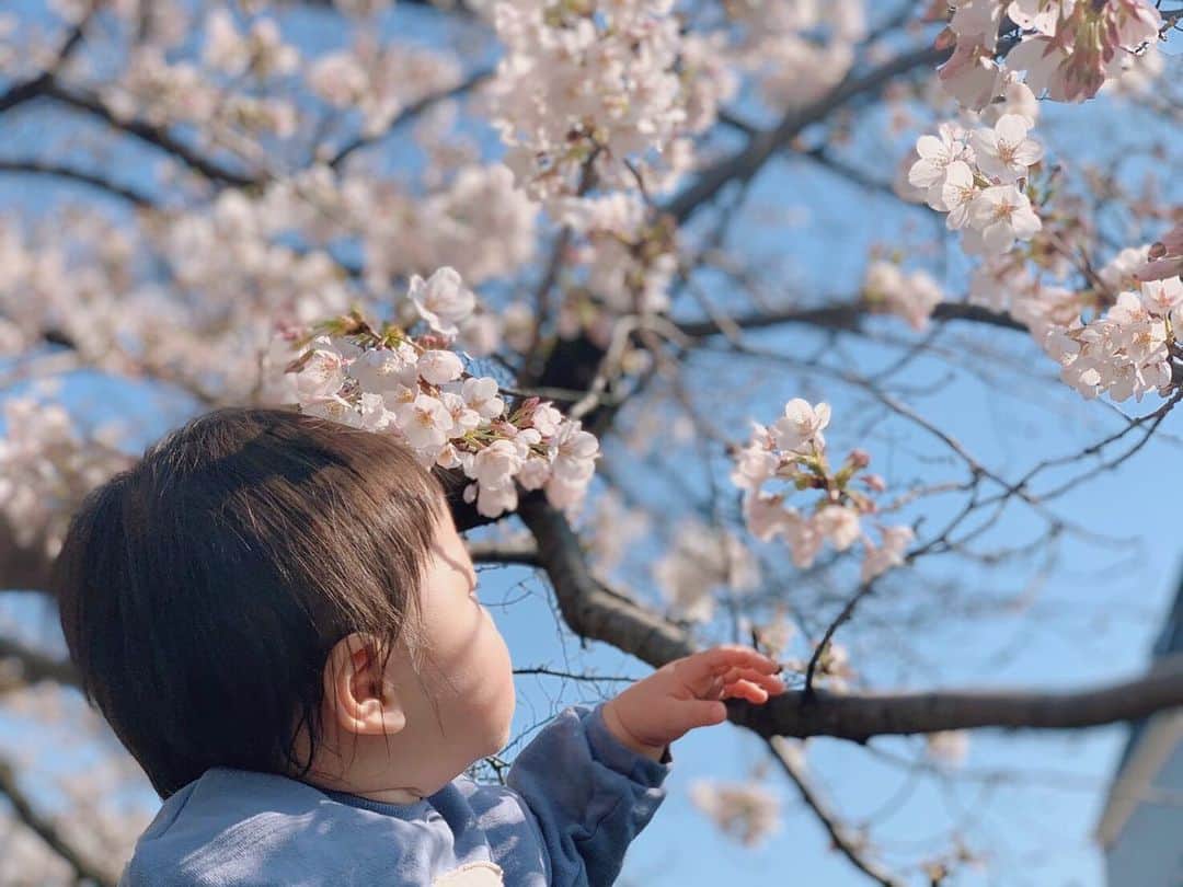 生田佳那さんのインスタグラム写真 - (生田佳那Instagram)「ちょうど1年前、陣痛が始まった日🌸 桜満開の日に生まれて 桜舞う日に退院して きっと毎年桜を見るたびにあの日の事が思い出せる🌸  桜が大好きになったー🌸 あの日と同じワンピースで記念📷」3月28日 17時53分 - ikutakana