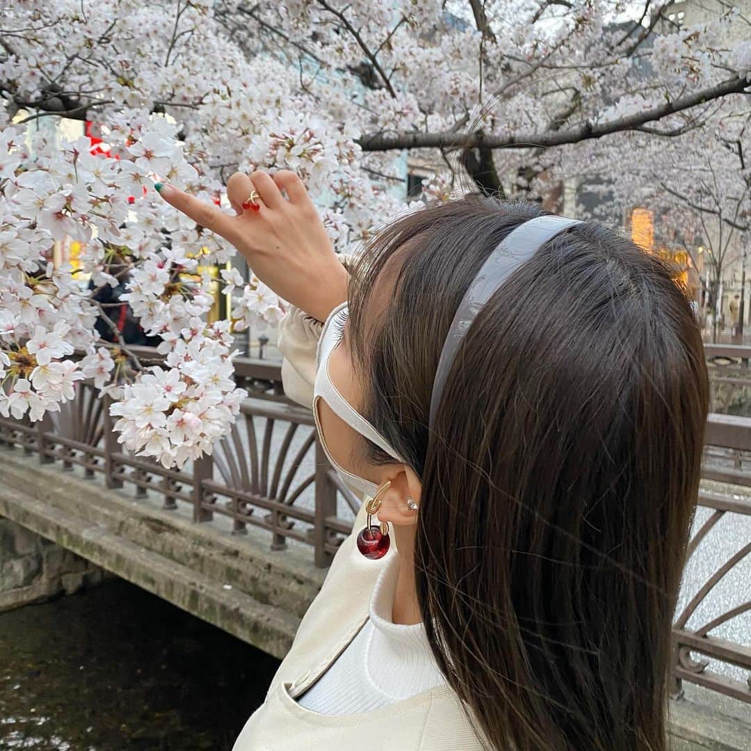 山尾梨奈さんのインスタグラム写真 - (山尾梨奈Instagram)「〻 🌸🍒 @liquem.tokyo  (2枚目桜触ってるように見えるけど触ってません！). . 桜がほぼ満開で枝が重たいのか 私の目線まで降りてきてくれました（笑） テラス席でお花見もどきしたよ @salon_de_royal_kyoto でドリンクを頼むと ショコラが1つ付いてきました！嬉しい〜 ドリンクに合わせて選んで下さるので 何が食べられるのかわくわく☺️☺️. . . #kyoto #京都桜 #京都グルメ #京都カフェ #京都チョコレート #推し京都 #高瀬川 #三条グルメ #三条カフェ #サロンドロワイヤル #サロンドロワイヤル京都」3月28日 18時00分 - yamarina_1210