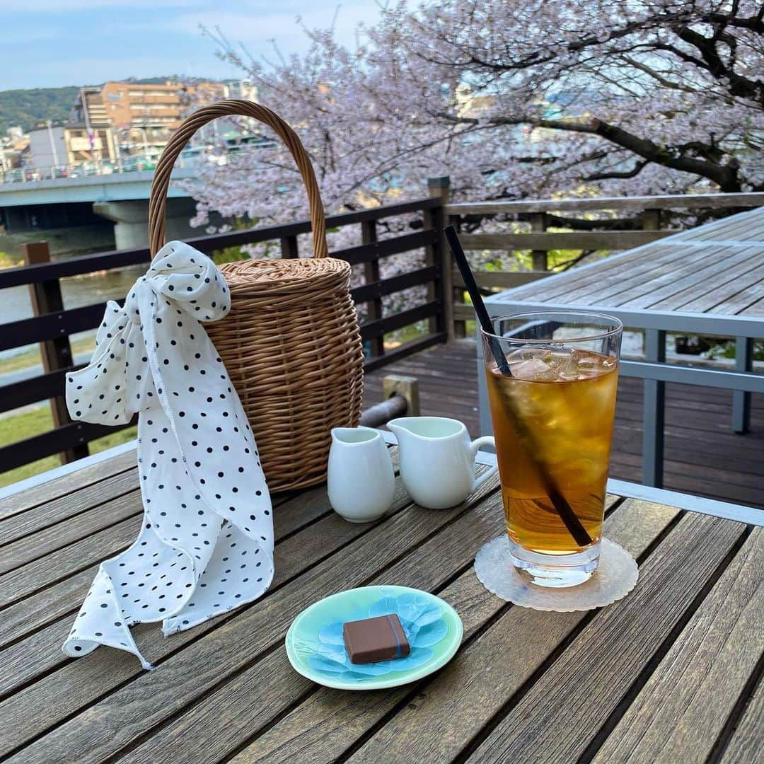 山尾梨奈さんのインスタグラム写真 - (山尾梨奈Instagram)「〻 🌸🍒 @liquem.tokyo  (2枚目桜触ってるように見えるけど触ってません！). . 桜がほぼ満開で枝が重たいのか 私の目線まで降りてきてくれました（笑） テラス席でお花見もどきしたよ @salon_de_royal_kyoto でドリンクを頼むと ショコラが1つ付いてきました！嬉しい〜 ドリンクに合わせて選んで下さるので 何が食べられるのかわくわく☺️☺️. . . #kyoto #京都桜 #京都グルメ #京都カフェ #京都チョコレート #推し京都 #高瀬川 #三条グルメ #三条カフェ #サロンドロワイヤル #サロンドロワイヤル京都」3月28日 18時00分 - yamarina_1210