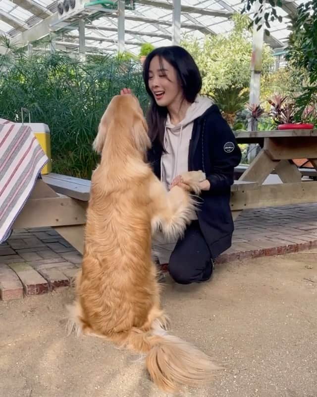 イ・チョンアのインスタグラム：「오올치 ❣︎ 너희는 진짜 천사야 🐕❤️  광고촬영중 만난 모리 덕분에 힐링타임 🥰  via @ mori.thegolden」