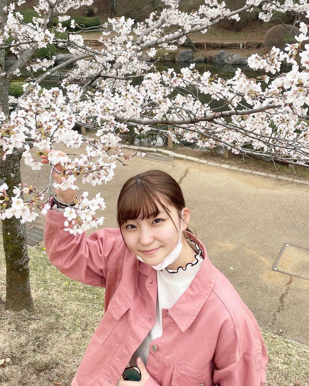 北川玲のインスタグラム：「🌸🌸🌸」