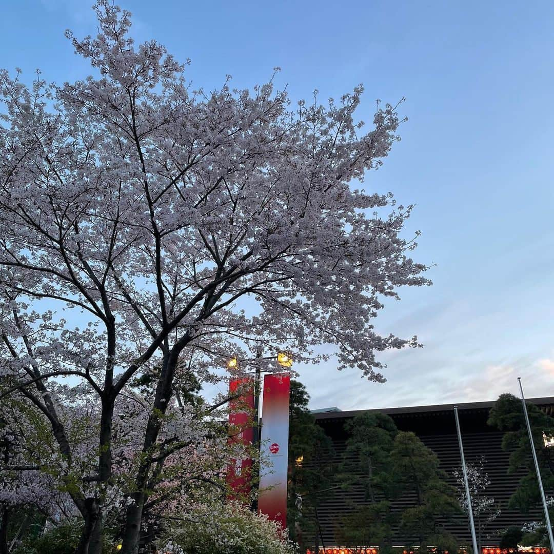 尾上菊之助さんのインスタグラム写真 - (尾上菊之助Instagram)「昨日、国立劇場公演『時今也桔梗旗揚』無事に千穐楽を迎えることができました。 緊急事態宣言中の公演でしたが、ご来場賜りまして心よりお礼申し上げます。  国立劇場の立派な桜を見ながらの通勤が楽しみでした。  さて来月は歌舞伎座　二部『絵本太功記　尼ヶ崎閑居の場』の武智十次郎をつとめます。  どうぞ宜しくお願いいたします。」3月28日 19時09分 - onoekikunosuke