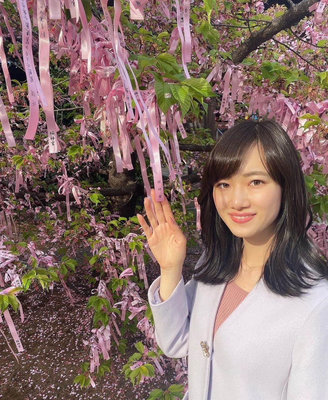 釜井美由紀さんのインスタグラム写真 - (釜井美由紀Instagram)「いまはソメイヨシノが見頃ですが、、﻿ こちらは少し前 早咲きの河津桜🌸﻿ ﻿ ﻿ #桜神宮 #桜新町 #さくら #河津桜 #葉桜 #sakura #202103」3月28日 21時42分 - miyuki.kamai