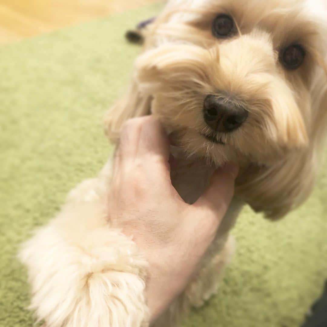 北山陽一のインスタグラム：「ロックしてくる。 #きたやまおかき」
