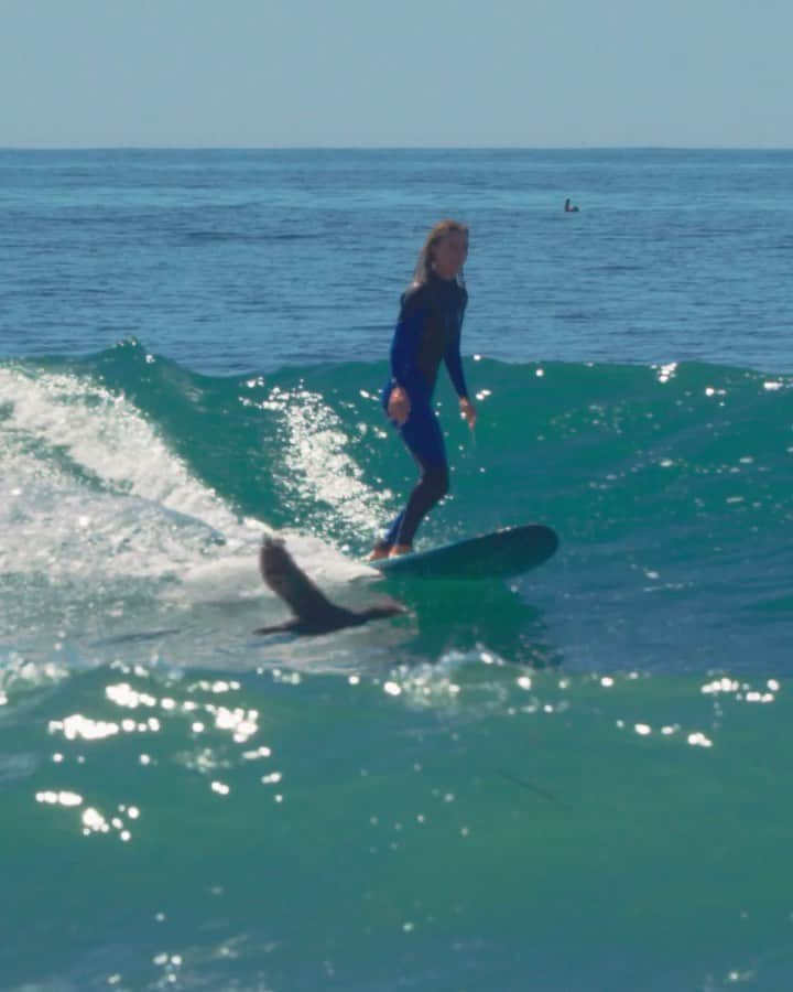 Sophie Wilsonのインスタグラム：「Sometimes I surf and when I do I love it 🏄🏼‍♀️」