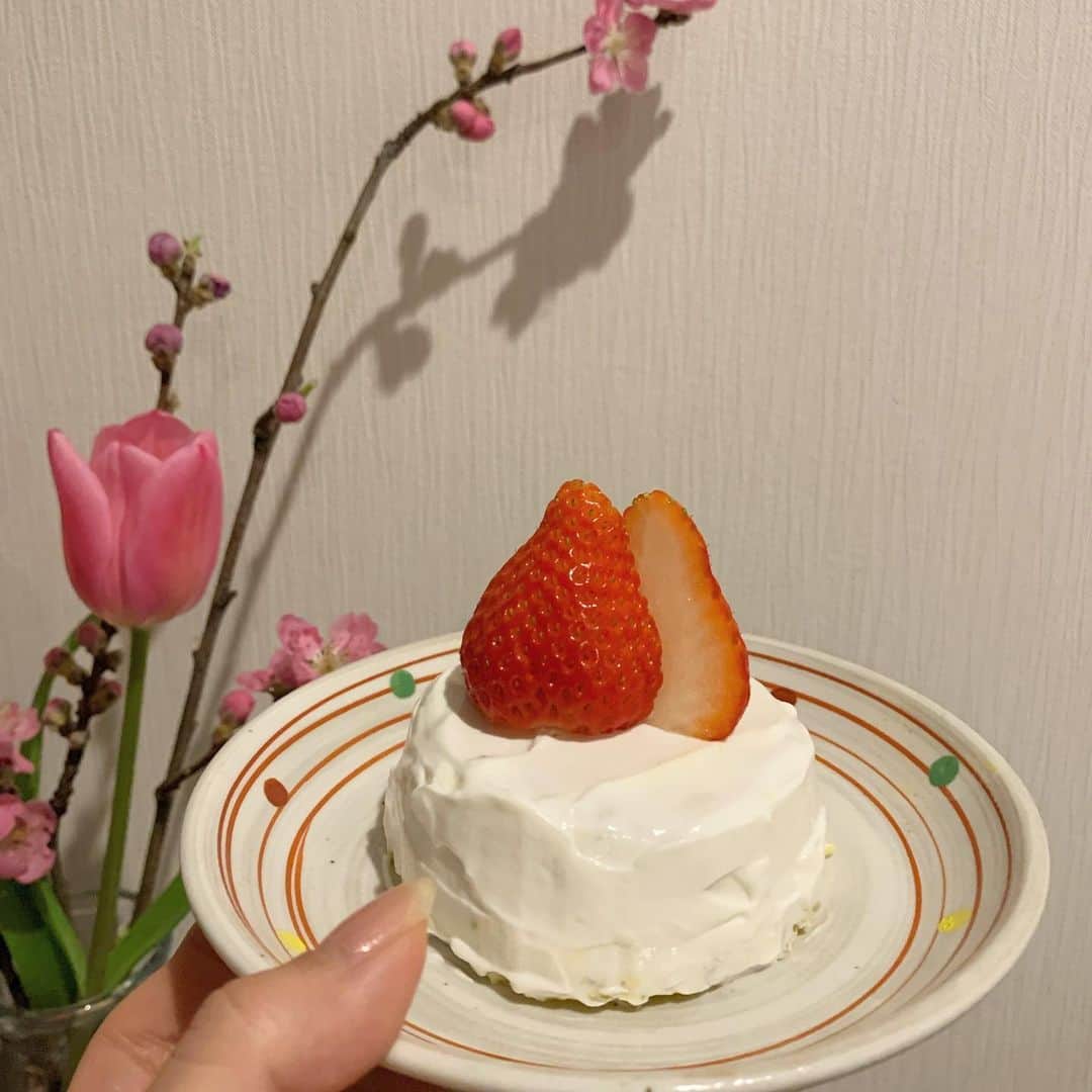 青谷優衣のインスタグラム：「ひじきの誕生日ケーキ🎂  蒸したかぼちゃとじゃがいもで作った土台をギリシャヨーグルトで覆って苺を乗せるだけ🍓  おめでとう☺️💞  #手作りケーキ #犬用ケーキ」