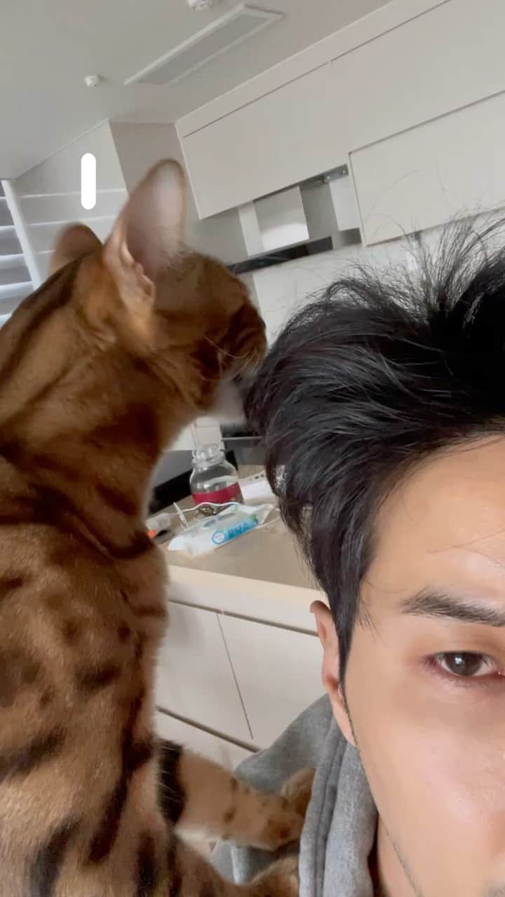 キム・ジソクのインスタグラム：「개인 헤어스탈리스트💇🏻‍♂️」