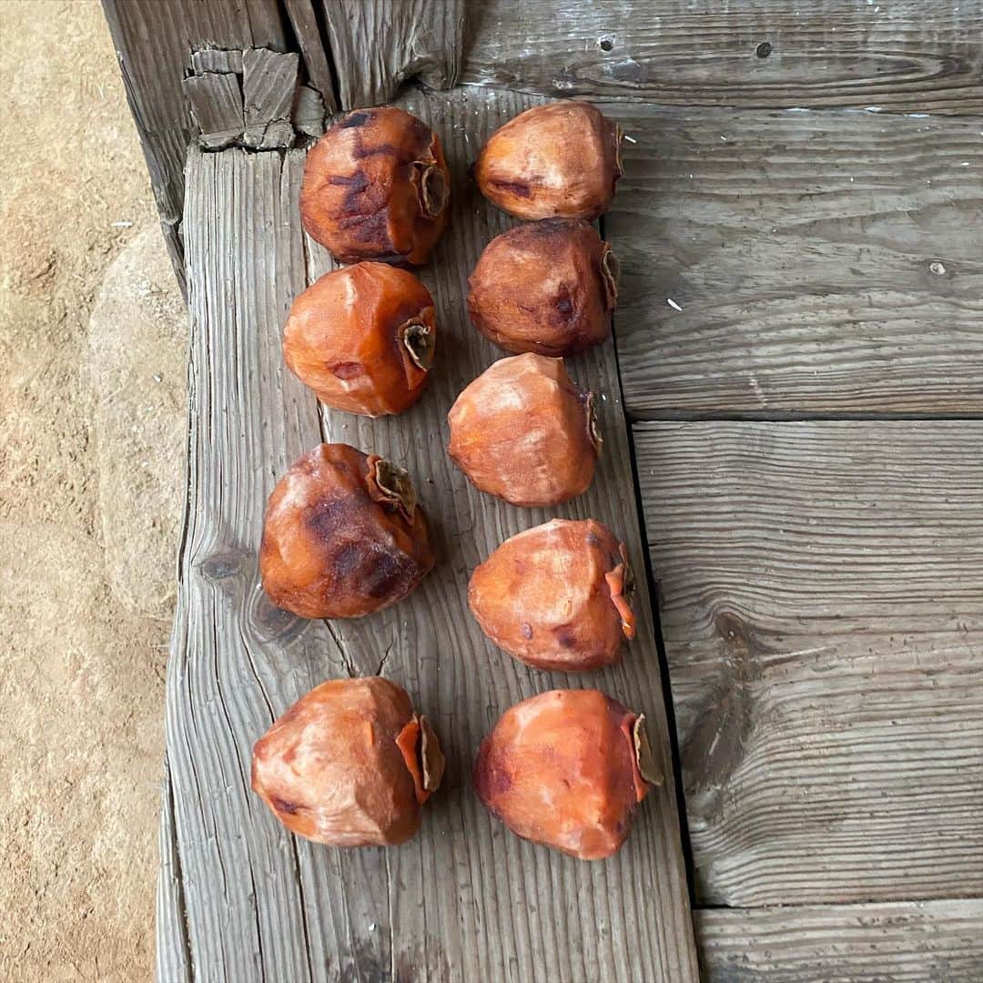 チョン・ユミのインスタグラム：「구례 감 #윤스테이 오늘 밤 9시!!🤌🏻🤌🏻🧡🧡🧡🧡🧡🧡🧡🧡🧡」