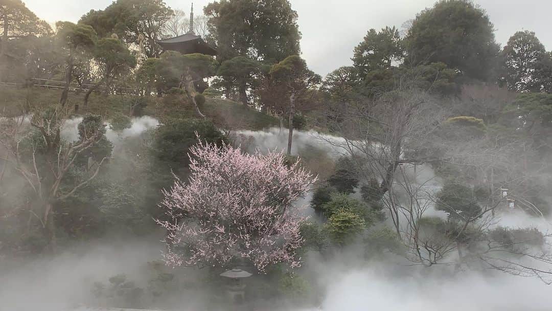 忍成修吾のインスタグラム：「3/5本日で40歳になりました。 椿山荘でお祝いして頂きました🥂 有り難や~ 雲海が凄かった‼️ 夜のライトアップも綺麗で長居してしまいました。 40代も宜しくお願い致しますm(_ _)m」